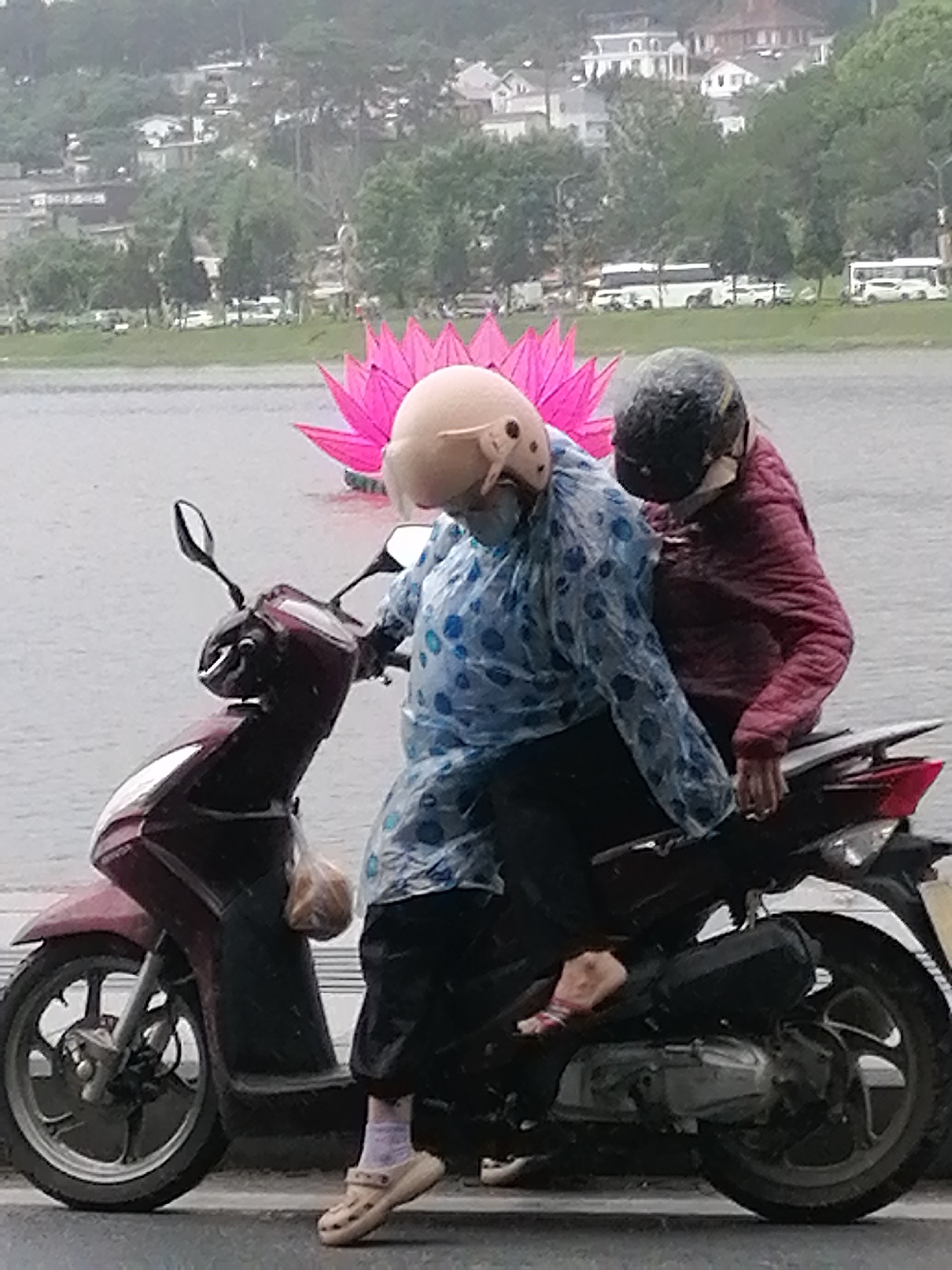 Two individuals are riding a dark red scooter in front of a body of water with an artificial pink lotus flower floating on it. The driver is wearing a light-colored helmet, a blue polka-dot raincoat, black pants, and tan sandals with light purple socks. The passenger is wearing a dark helmet, a maroon jacket, black pants, and red sandals. In the background, across the water, is a cityscape with trees and buildings; buses are also visible. It is raining or has recently rained, as indicated by the wet surfaces and the raincoat. The location is in Da Lat, Vietnam, as evidenced by the lotus flower, which is a common sight on Ho Xuan Huong Lake.