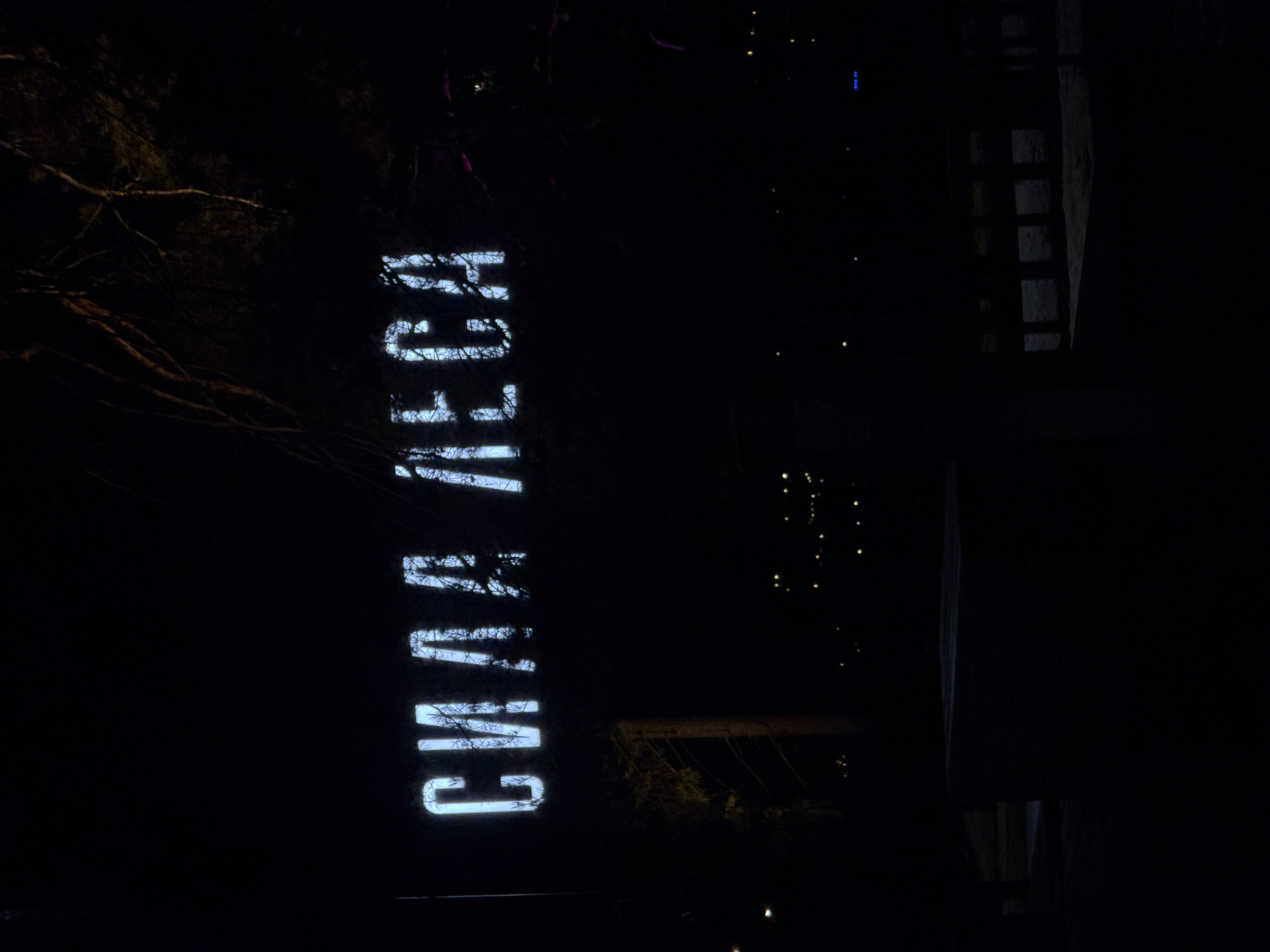 A nighttime image depicts the illuminated word "СУШАЯ ЛЕБЕДЬ" (Suschaya Lebed', or "Existing Swan") projected onto a structure in Votkinsk, Russia. The text appears bright white against the dark background, partially obscured by tree branches. In the dark background, there are dim lights visible in the distance, and what may be a ladder in the upper right. The overall scene is dark and the focus is on the illuminated text.