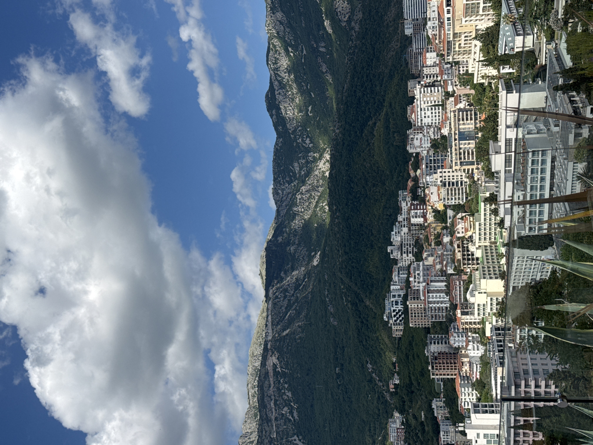 The image captures a panoramic view of the city of Budva, Montenegro, situated at the base of a lush, green mountain range. The architecture of Budva is characterized by a mix of modern, multi-story buildings, including hotels and residential complexes, with some older structures visible among them. The city extends up the slopes of the mountain, with buildings interspersed with trees. The foreground of the image shows a partial view of some large, spiky plants, possibly agave, hinting at a balcony or elevated viewpoint. The sky above is a vibrant blue, dotted with large, fluffy white clouds, suggesting fair weather. The sunlight casts shadows on the mountain, highlighting its rugged terrain and the dense vegetation covering its lower slopes. The overall impression is of a bustling coastal city nestled against a dramatic natural landscape.