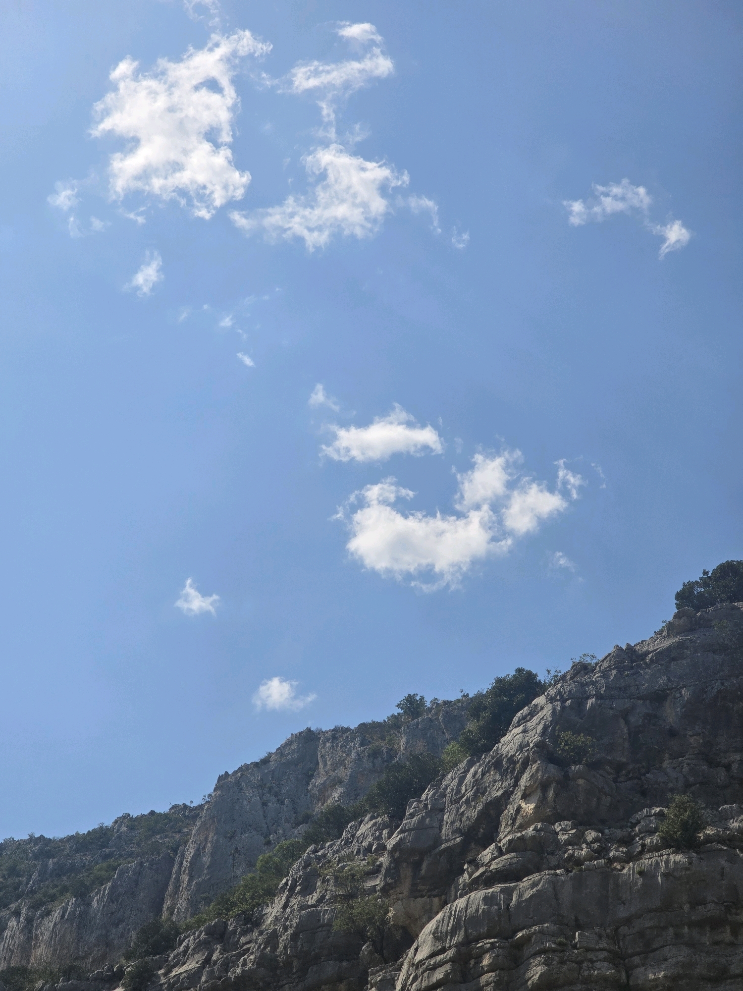 The image shows a steep, rocky mountainside under a clear blue sky dotted with fluffy white clouds. Sparse green vegetation, consisting of small trees and shrubs, grows in pockets on the rocky slopes. The mountainside dominates the lower half of the frame, appearing rugged and textured with visible layers and crevices. The sky occupies the upper portion of the image, with a few scattered cumulus clouds. The scene appears to be a natural landscape, likely a mountain or canyon, and given the context provided, it is located in Podgorica, Montenegro. There are no people or man-made structures visible in the image.