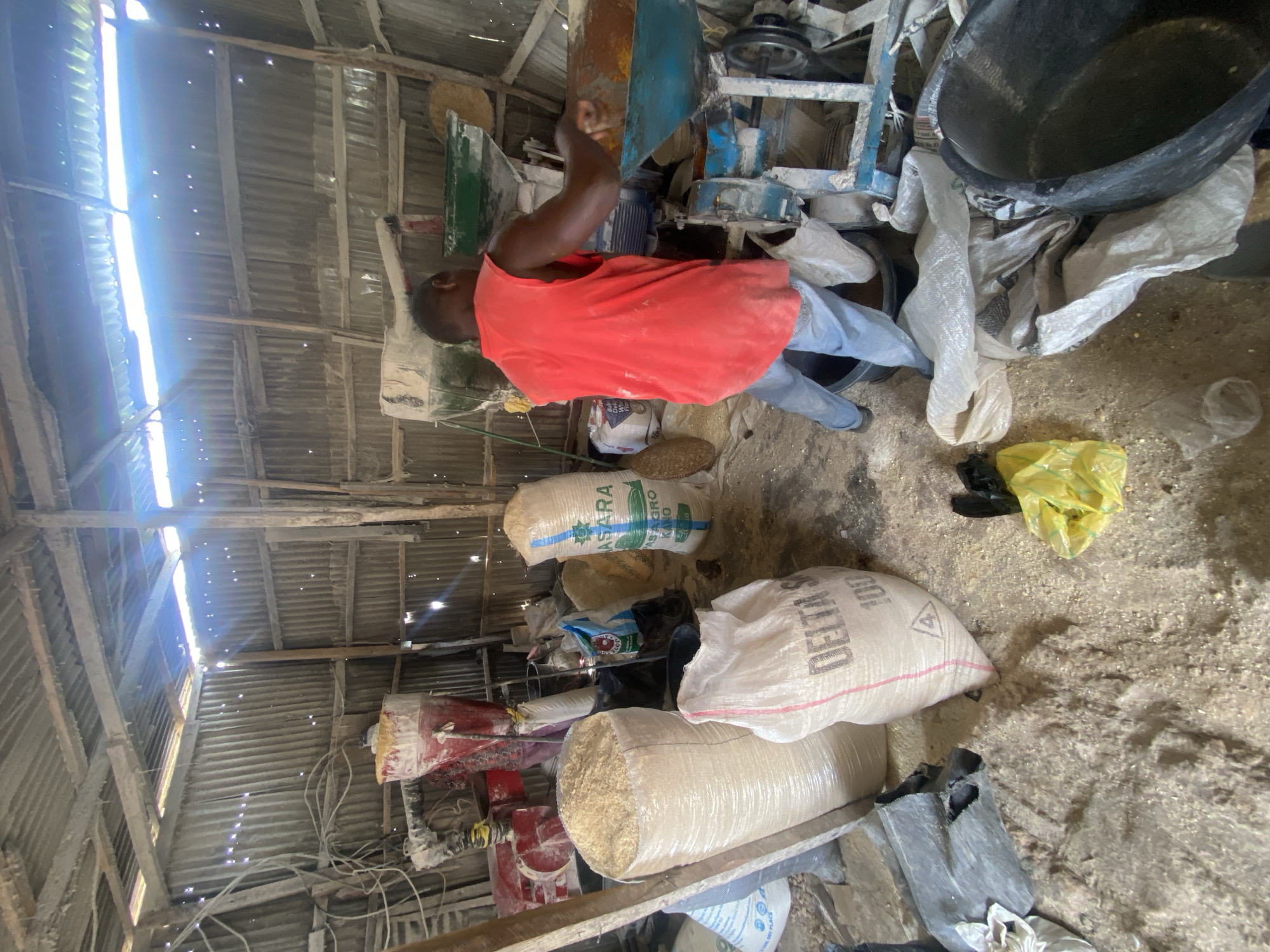In Bukuru, Nigeria, within a rustic, open-air workshop constructed with corrugated metal walls and a wooden beam ceiling, a man in a red sleeveless shirt and blue jeans operates a milling machine. The floor is covered in what appears to be grain or sawdust, with several large sacks of produce scattered throughout the space. Prominently featured are two large, translucent sacks filled with light-colored material, one labeled "DELTA S 100". Another sack, this one with green lettering, reads "PASARAGRO KANO". The milling machine itself is a blue and metal contraption with various hoppers and chutes, and the man is actively engaged in feeding material into it. Debris, including plastic bags and what looks like discarded grain, litters the ground. The overall impression is one of a functional, albeit somewhat unkempt, agricultural processing site.