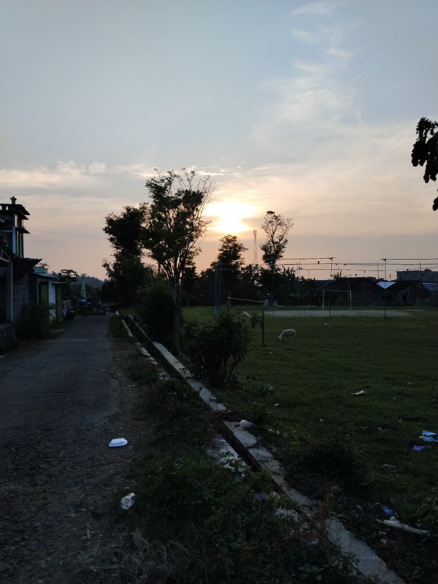 The scene depicts a street in Seloromo, Indonesia, at dusk. The road is cracked and littered with debris. A concrete drainage ditch runs along the road's edge, filled with vegetation and more trash. Across the ditch is a grassy field where a single sheep grazes. In the background, trees obscure the setting sun. Beyond the trees are houses and what appears to be a sports field with nets and goalposts. The sky is a mix of pale blue and orange from the setting sun. A structure with what looks like a tower is to the left.