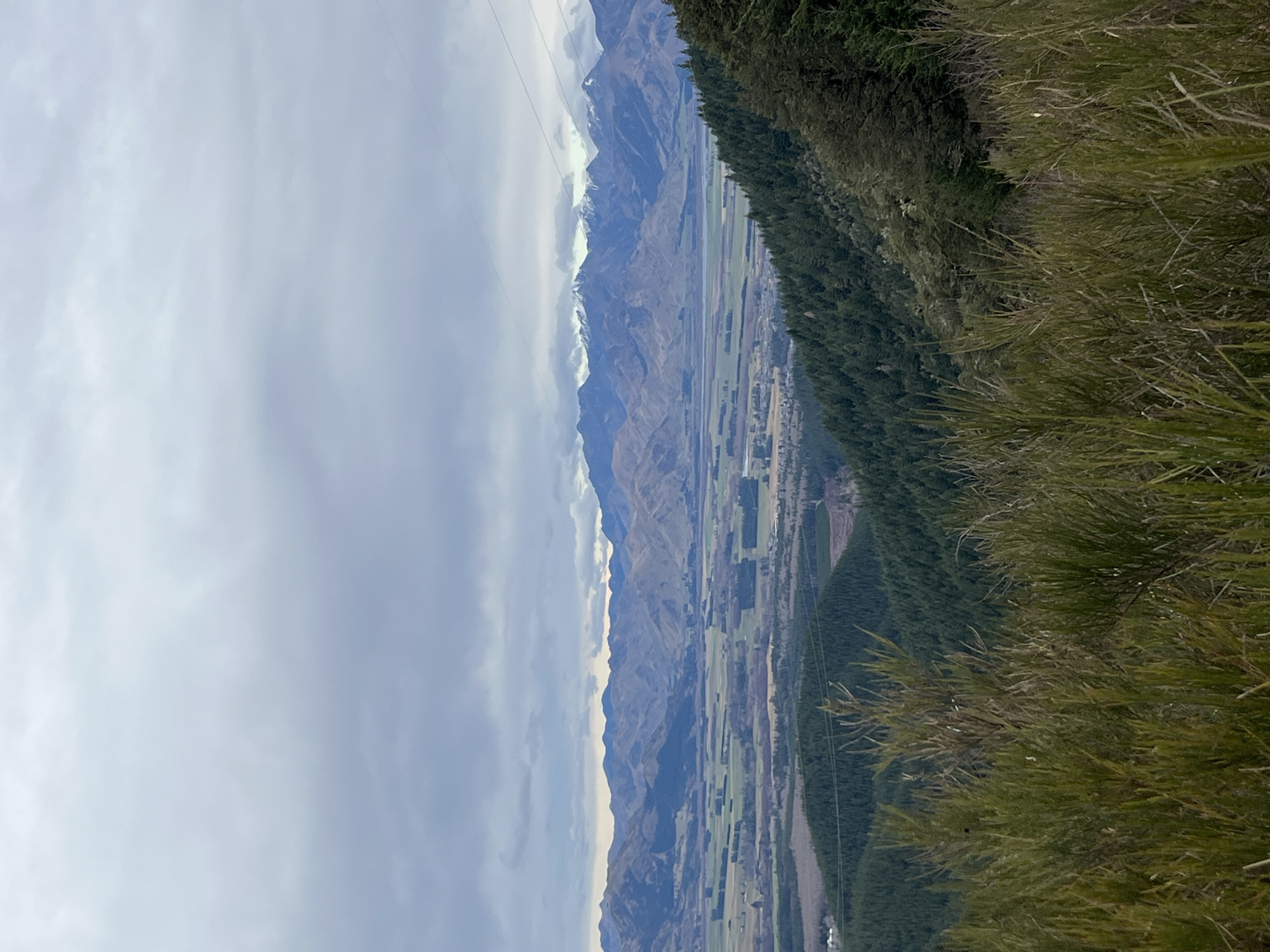 This image depicts a panoramic view from an elevated vantage point overlooking the Hanmer Springs valley in New Zealand. The foreground is dominated by dense, green foliage, likely native scrub or gorse, with some taller, slender branches extending upwards. Beyond this immediate vegetation, the landscape slopes downwards, revealing a vast expanse of rolling hills covered in dark green coniferous forests.

Further in the mid-ground, the valley opens up, showcasing agricultural fields with patches of lighter green and brown, interspersed with scattered clusters of trees. A small settlement or cluster of buildings is visible to the far left of the frame. In the background, a range of majestic mountains rises, their peaks partially dusted with snow, suggesting a higher altitude or colder climate. The sky above is overcast with thick, grey clouds, creating a diffused, cool light that casts subtle shadows across the terrain. Power lines are visible stretching across the upper portion of the image, indicating the presence of infrastructure. The overall scene conveys a sense of remote, natural beauty, typical of the Canterbury region of New Zealand.