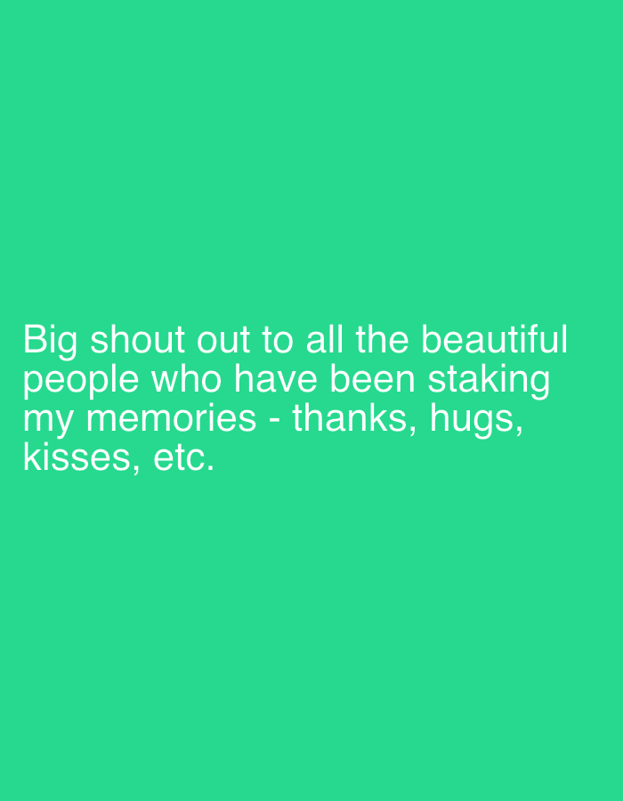The image displays white text against a solid, vibrant green background. No people, objects, or specific scene are visible. The text, centrally aligned, reads: "Big shout out to all the beautiful people who have been staking my memories - thanks, hugs, kisses, etc." The message conveys gratitude and affection, without depicting any specific activity or event. There are no notable details regarding time of day, weather, or location cues other than the generic green background.