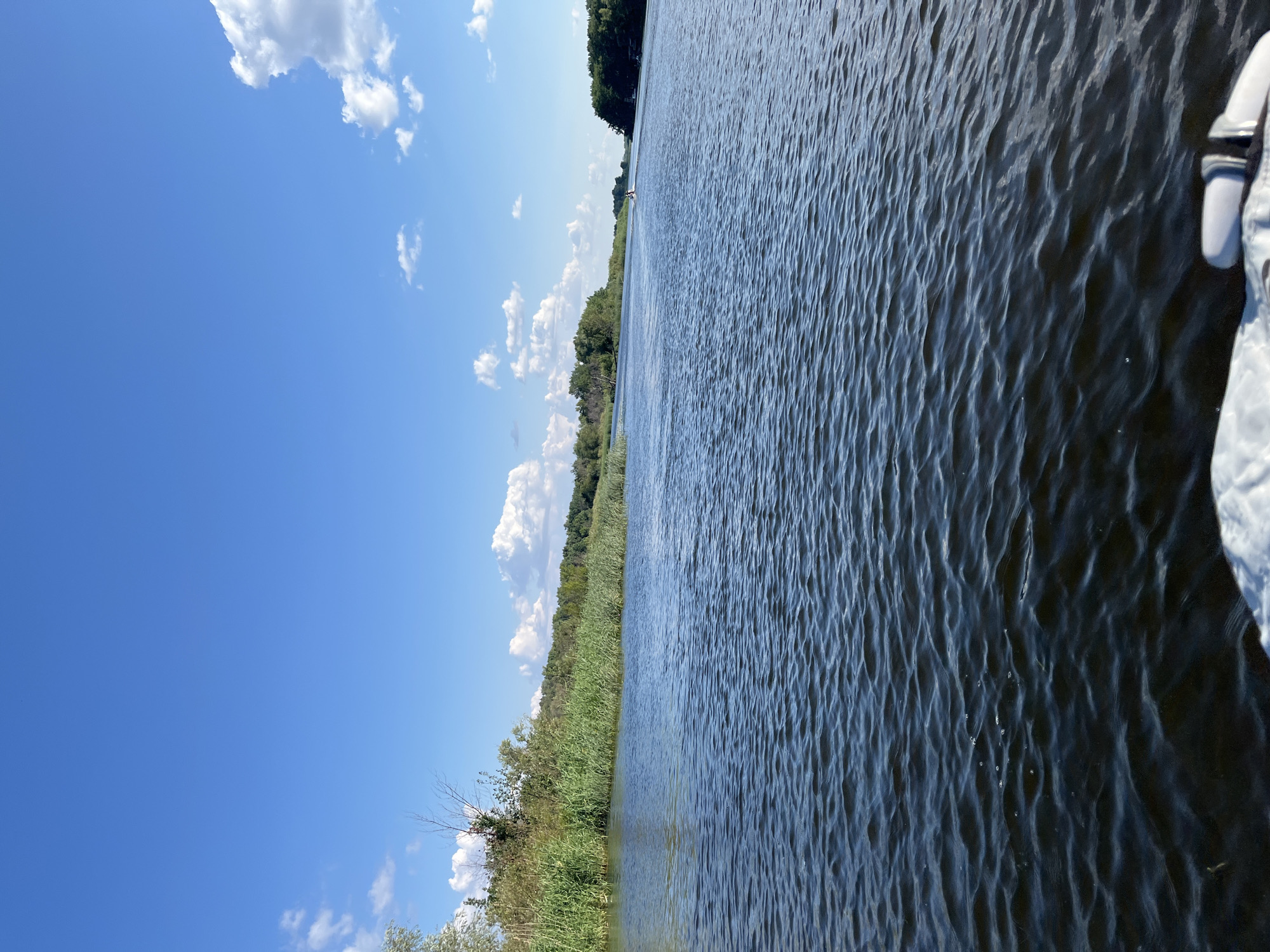 The image depicts a wide, calm river on a clear day with a blue sky dotted with white clouds. The water is dark and reflects the sky and surrounding vegetation. On the left bank, dense green reeds and trees line the water's edge. The right bank is also covered in trees, with a distant view of a small boat on the water. The perspective suggests the photo was taken from another boat, with a portion of a white object, possibly a life vest, visible in the foreground. The overall scene is serene and natural, typical of a river environment. There is no discernible evidence or context to link this image specifically to the city of Saratov, Russia.