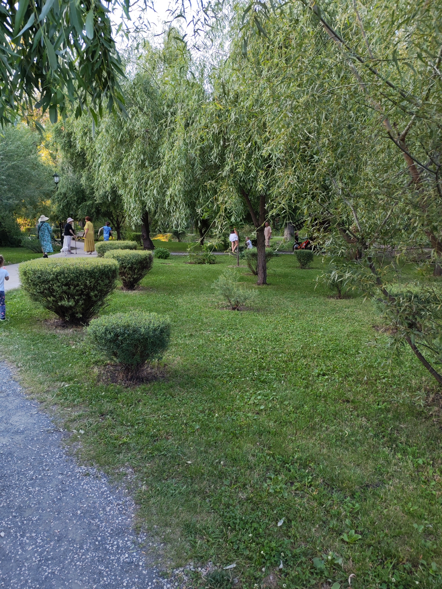 In Volsk, Russia, a gravel path borders a manicured park lawn. Several people are scattered throughout the park. On the left, a woman in a long, patterned dress and a straw hat stands with a dog. Behind her, a woman in a black shirt and pink hat, and another woman in a yellow dress are conversing near a bench. Further back, a person in blue is jogging, and a group of people are seated on a bench. The park is dominated by large, leafy willow trees, with trimmed bushes dotting the lawn. The scene captures a peaceful moment in an urban green space.