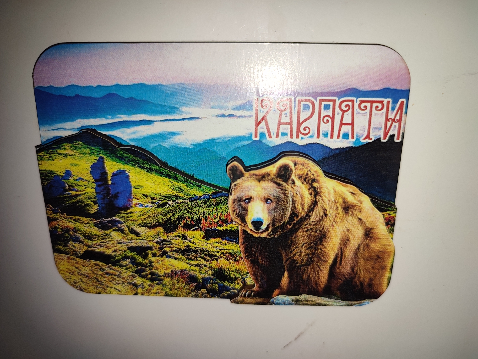 The image shows a postcard or magnet with a picture of a bear in a mountainous landscape with text overlayed. The landscape depicts rolling green hills with scattered large rocks, leading up to distant blue mountains shrouded in mist. The sky transitions from pinkish-purple at the top to blue and white further down. A large, brown bear is prominently featured in the foreground, sitting on a rock. Red text with decorative swirls is superimposed on the upper right portion of the image, reading "КАРПАТИ," which is the Ukrainian name for the Carpathian Mountains. The postcard has rounded corners and appears to be placed on a white surface, possibly a table or wall. There is no indication of the city of Shyshaky, Ukraine in this image.