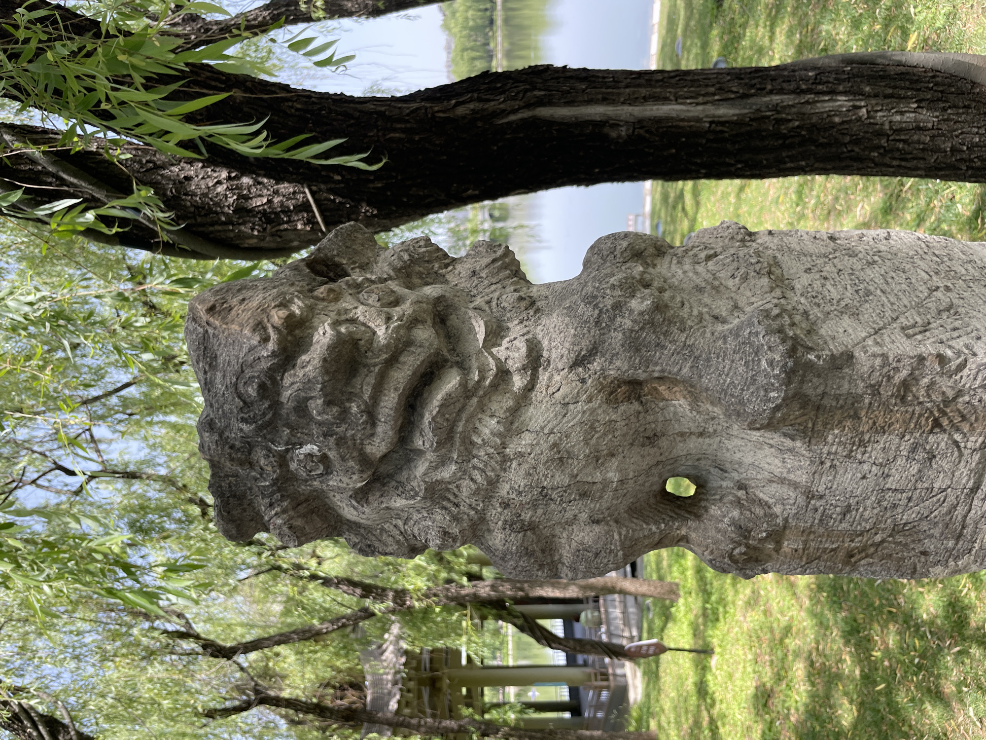 In Yanta District, China, a gray, textured, carved stone head sits in a park-like setting with grass, trees, and a body of water in the background. The stone head has a hole through its side, and a dark, rough tree branch extends horizontally behind it. Green willow branches are visible above and beside the stone head. A small structure, possibly a pavilion or bridge, is partially visible in the background to the left of the stone head. The image is shot from a slightly low angle, making the stone head appear prominent.
