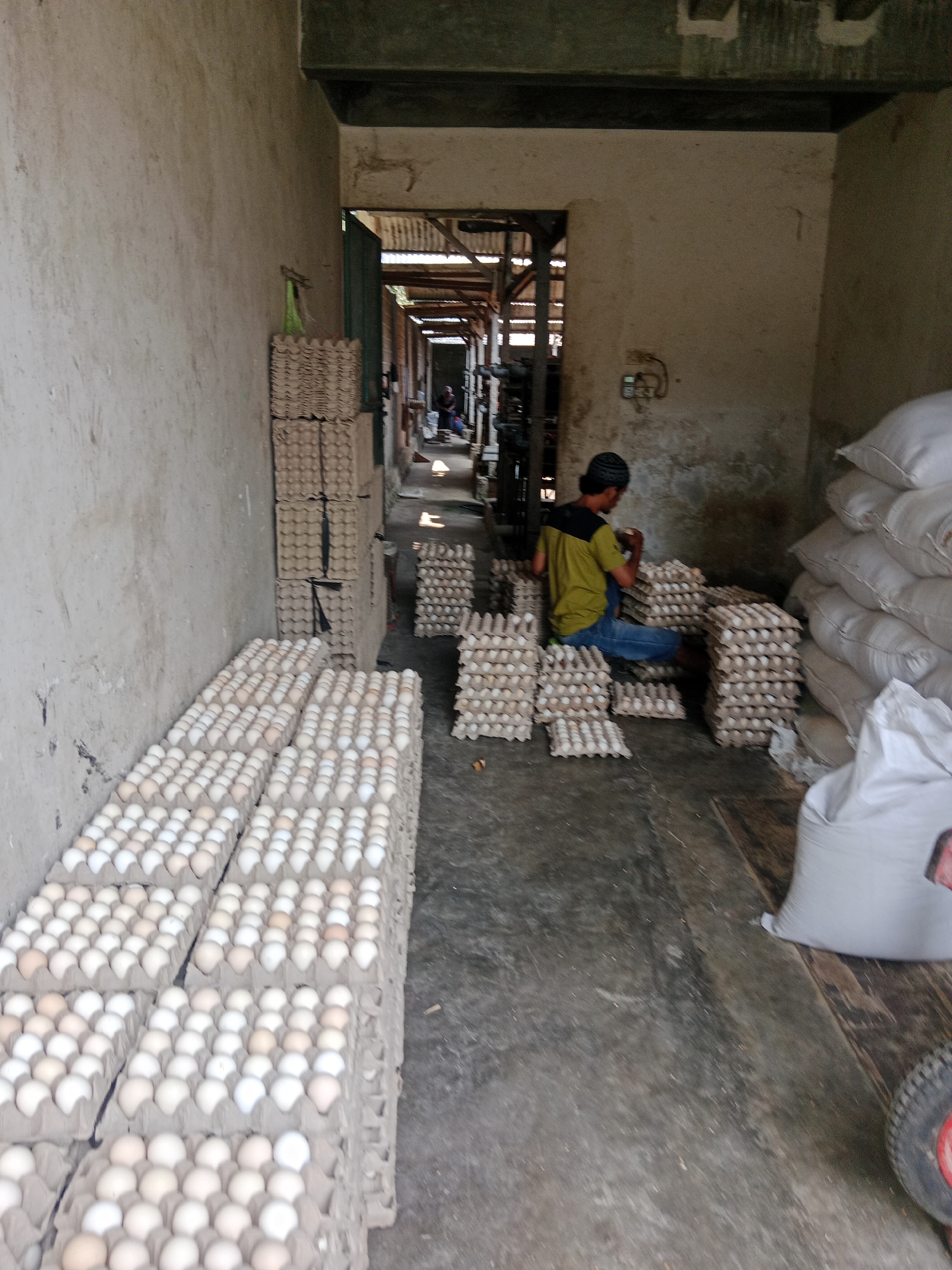 In Sambi, Indonesia, an interior view shows a dimly lit, industrial-style storage area. The scene is dominated by stacks of egg cartons filled with numerous eggs, both white and light brown. In the mid-ground, a person wearing a yellow and black shirt and blue jeans, with a dark patterned cap, is seated on the floor, appearing to be sorting or handling the eggs. Piles of white sacks are visible in the background to the right, suggesting bulk goods storage. The walls are rough and unpainted, and the floor is a concrete surface. The overall impression is of a functional, no-frills facility for egg processing or distribution.