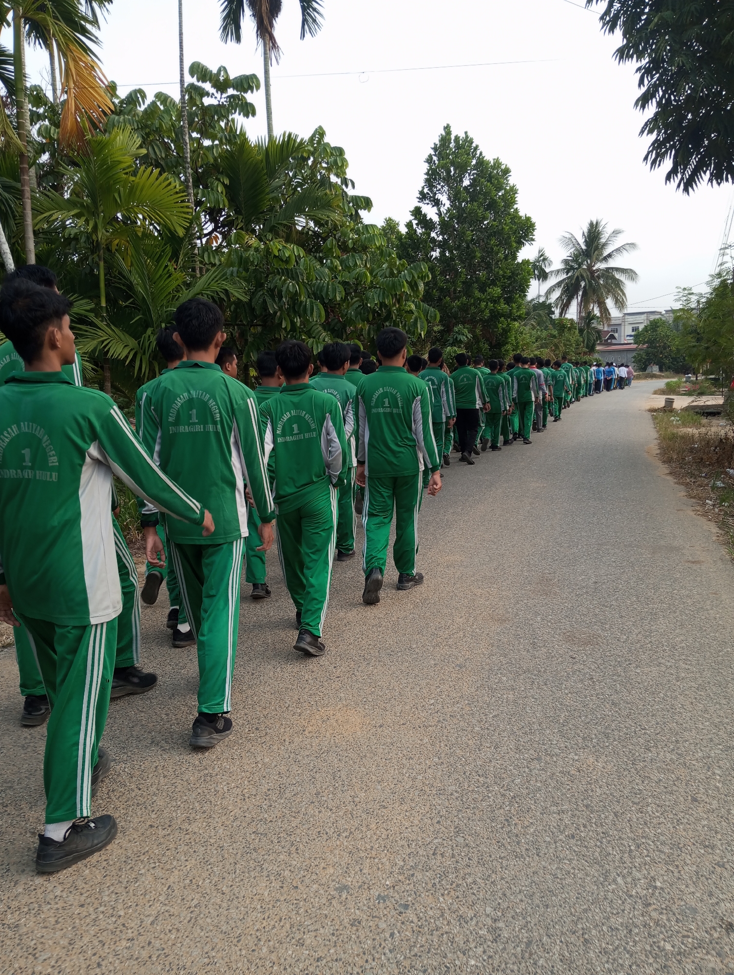 A group of students, dressed in matching green tracksuits with white stripes, are walking in single file down a paved road. The tracksuits are embroidered with the text "MADRASAH ALIYAH NEGERI 1 INDRAGIRI HULU". The students are mostly young males with short dark hair. They are walking away from the camera, towards the background where a few buildings and a palm tree are visible. The road is bordered by lush green vegetation, including palm trees and other leafy plants. The sky is overcast. The scene appears to be a procession or a group activity taking place in a rural or semi-rural area of Pematang Reba, Indonesia.