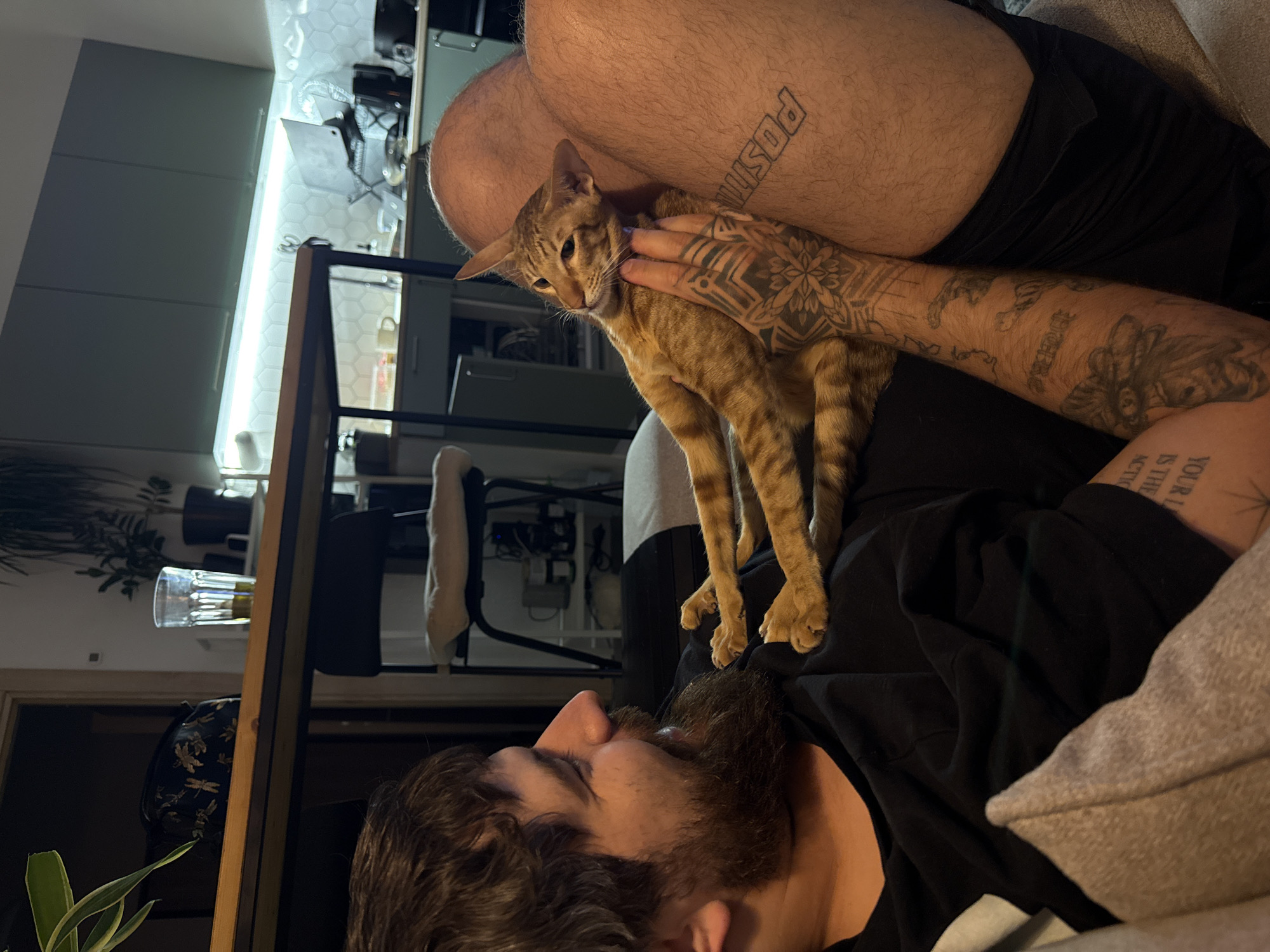 A man with a beard lies reclined on a grey couch wearing a black shirt. An orange tabby cat stands on his torso, being petted by the man's tattooed hand. The man has tattoos on his arm and leg. In the background is a kitchen with light-colored cabinets and tile backsplash. A glass of liquid sits on a wooden table.
There is no visible indication that the photo was taken in Khimki, Russia.
