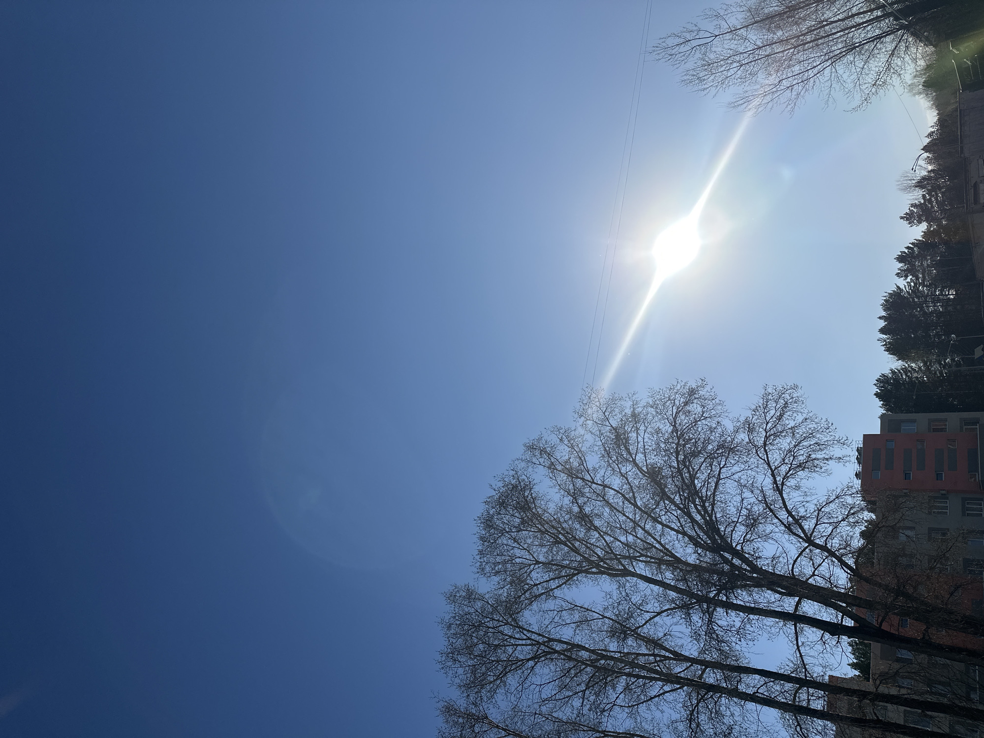 The image captures a bright sunny day in Chaikovsky, Russia. The sky is a deep blue, dominating the left side of the frame. The sun is positioned towards the upper right, creating a bright glare with rays extending outwards. A few bare tree branches are silhouetted against the bright sky, and there's a tall building on the right side of the image. The building's facade is mostly grey, with an orange section extending upwards near the top. The image is taken from a low angle.