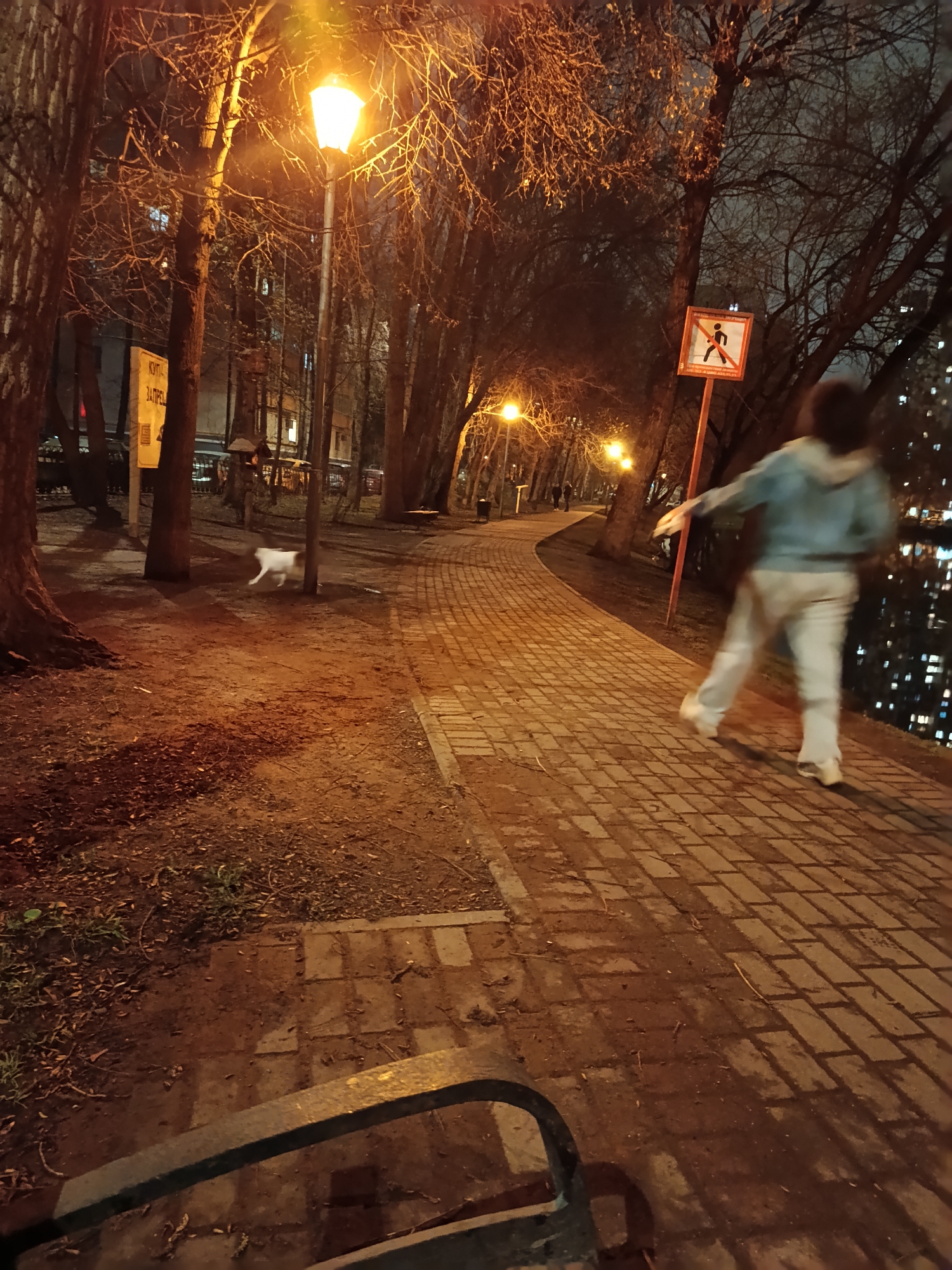 The image depicts a nighttime scene in a park or pedestrian area, illuminated by warm, yellow streetlights. A paved pathway, constructed from rectangular pavers, curves into the distance.
On the right side of the path, a person is captured in motion from behind, blurred significantly. They appear to be wearing a light blue hooded jacket and light-colored pants, walking or jogging away from the viewer. Directly in front of the person, a sign with a red circular "no walking" symbol (a black silhouette of a person walking with a red diagonal line through it) is clearly visible.
To the left of the path, the ground is covered in dark earth and scattered fallen leaves, surrounded by numerous bare-branched trees, suggesting late autumn or winter. A small, white animal, possibly a cat, is seen running across this dirt area, also blurred by motion. Further down the path on the left, another yellow sign is partially visible, displaying what appears to be Cyrillic text, with "ЗАПРЕЩ" (likely part of "Запрещено" - Forbidden) discernible.
In the background, through the sparse tree branches, residential buildings with many illuminated windows indicate an urban environment. A dark metal structure, possibly a bench or railing, is partially visible in the bottom foreground. The scene conveys a quiet, evening atmosphere, with artificial light creating long shadows across the ground.