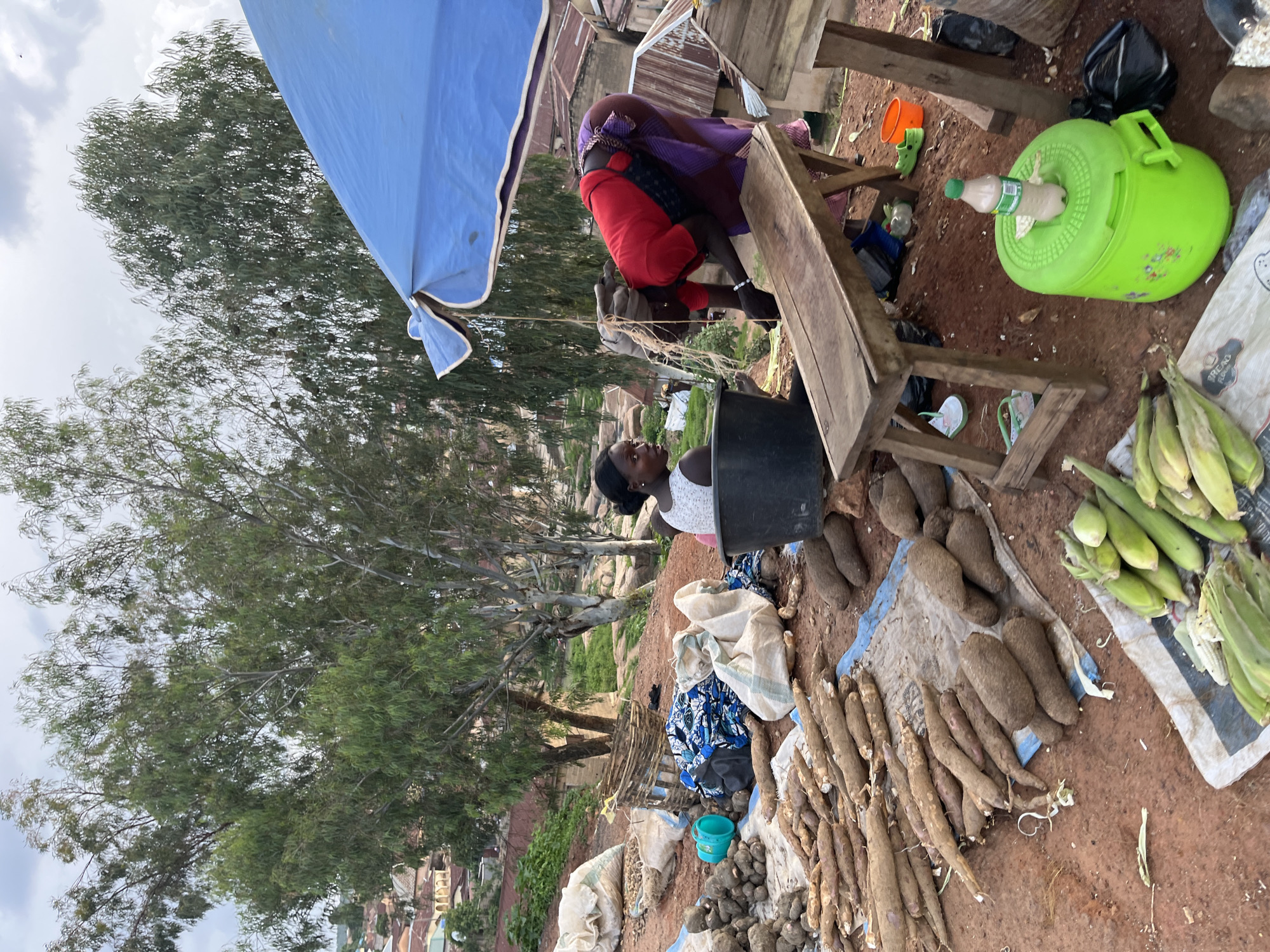 This image depicts an outdoor market scene in Jos, Nigeria, likely in a densely populated residential area given the background architecture. The ground is a reddish-brown dirt, indicative of the local soil. A variety of produce is displayed on tarps and directly on the ground. Prominently featured are large piles of yams and some ears of corn. A blue tarp stretches across the top, suggesting a makeshift stall providing shade.
Two women are present. One woman, wearing a white top, is seated and looking towards the right side of the frame. The second woman, dressed in a red top and a purple patterned skirt, is bent over a wooden table, appearing to be engaged in an activity related to the market. A large black tub is near the seated woman, and a green cooler is positioned by the wooden table. In the background, scattered buildings with corrugated metal roofs and some trees are visible, suggesting a somewhat hilly terrain. The overall atmosphere suggests a typical day at a local Nigerian market.