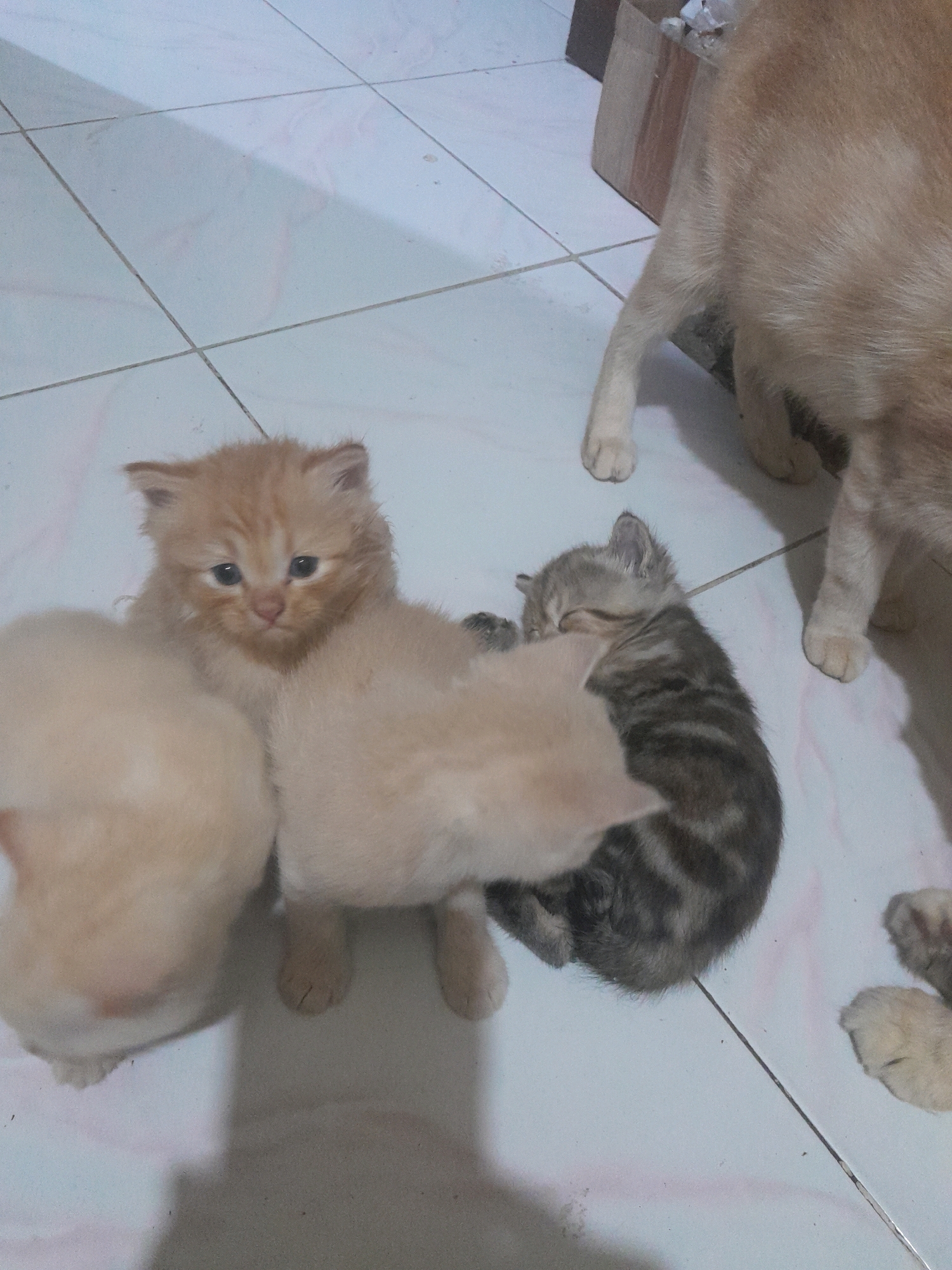 Memory