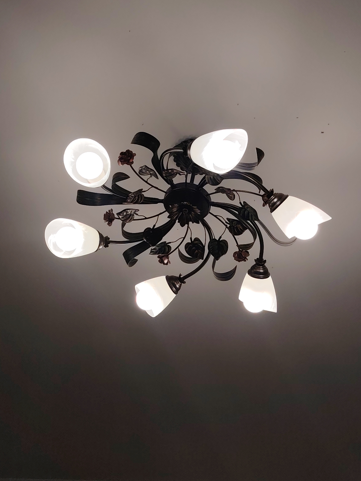 A ceiling light fixture with six lit bulbs is the subject of the photograph. The fixture is made of dark metal and has decorative elements resembling leaves and roses. The bulbs are encased in frosted glass shades of various shapes, some round and others bell-shaped. The ceiling is a plain, light color. The lower portion of the image is dark, suggesting the photograph was taken from below the fixture in a dimly lit room. The image does not provide any information about the city of Konakovo, Russia.