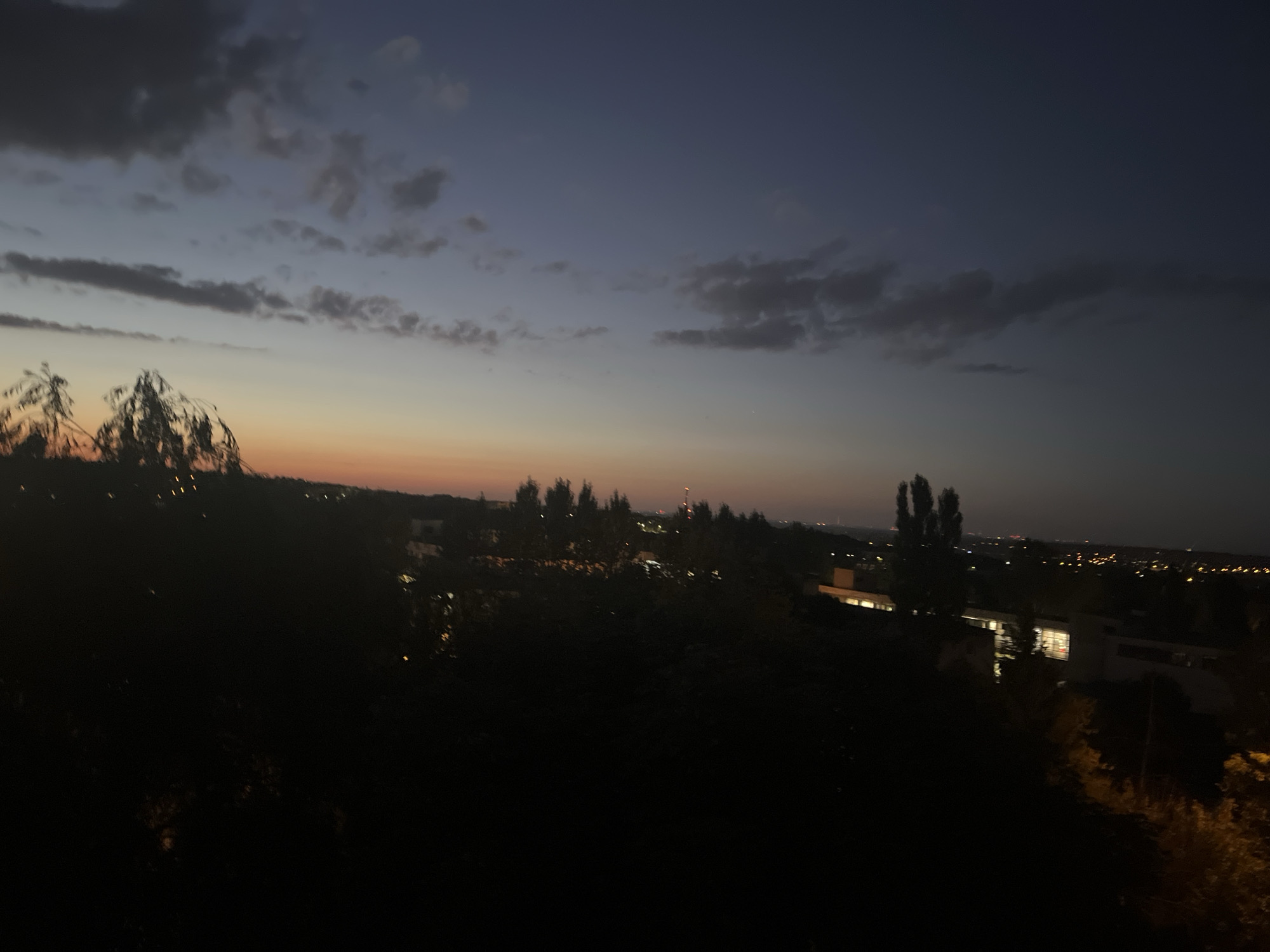 A wide shot captures a dusky cityscape at twilight. The sky transitions from a deep navy at the top to a soft orange-pink near the horizon, dotted with scattered clouds. Silhouetted trees and foliage in the foreground obscure much of the landscape, with hints of buildings and lights visible in the distance. The overall scene suggests a serene evening setting in an urban environment.