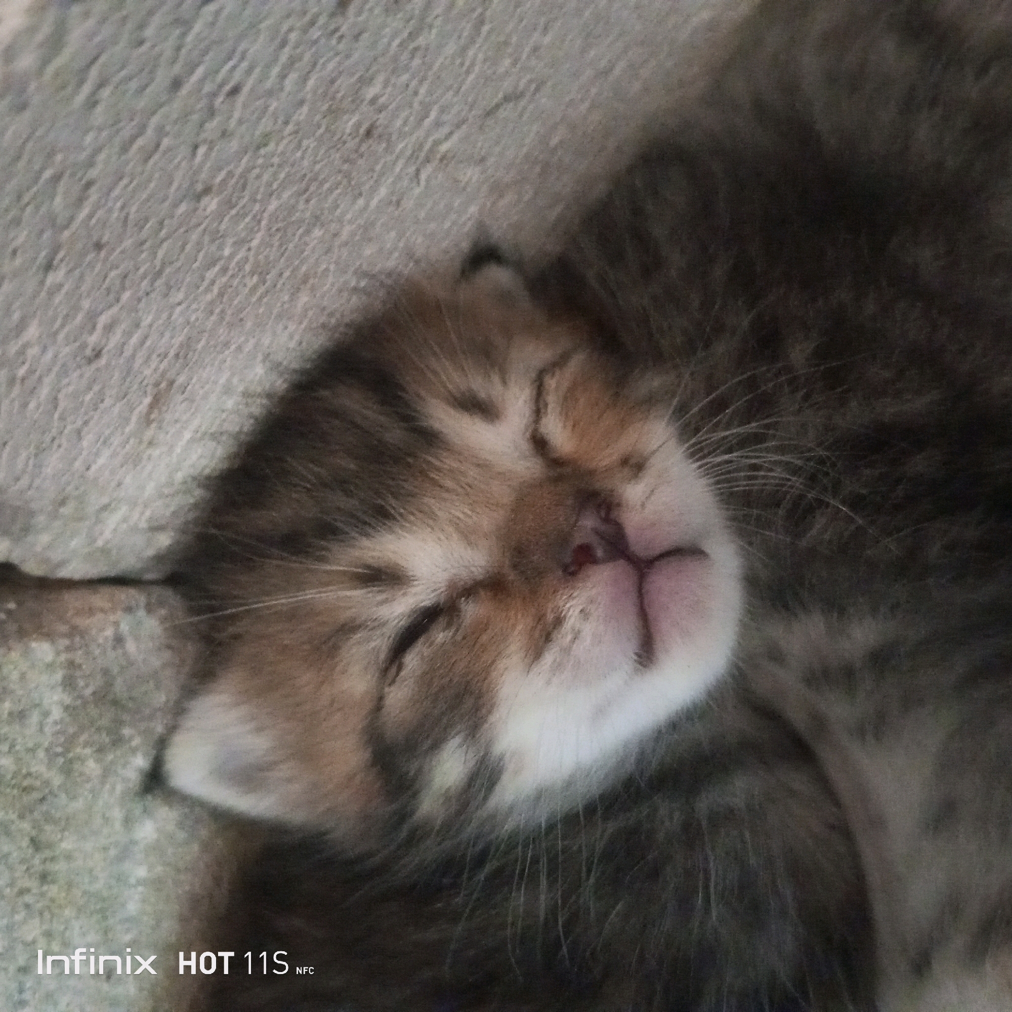 The image shows a close-up of a young kitten sleeping. The kitten has tabby markings with brown, black, and white fur. Its eyes are closed, and its nose is pink. The kitten is lying on a rough, textured surface that appears to be concrete or stone. The bottom left corner of the image contains a watermark that reads "Infinix HOT 11S NFC". The provided location of Sukaslamet, Indonesia, is a rural area in the province of Central Java, known for its agricultural landscape. There is no specific information in the image to connect it to this location.