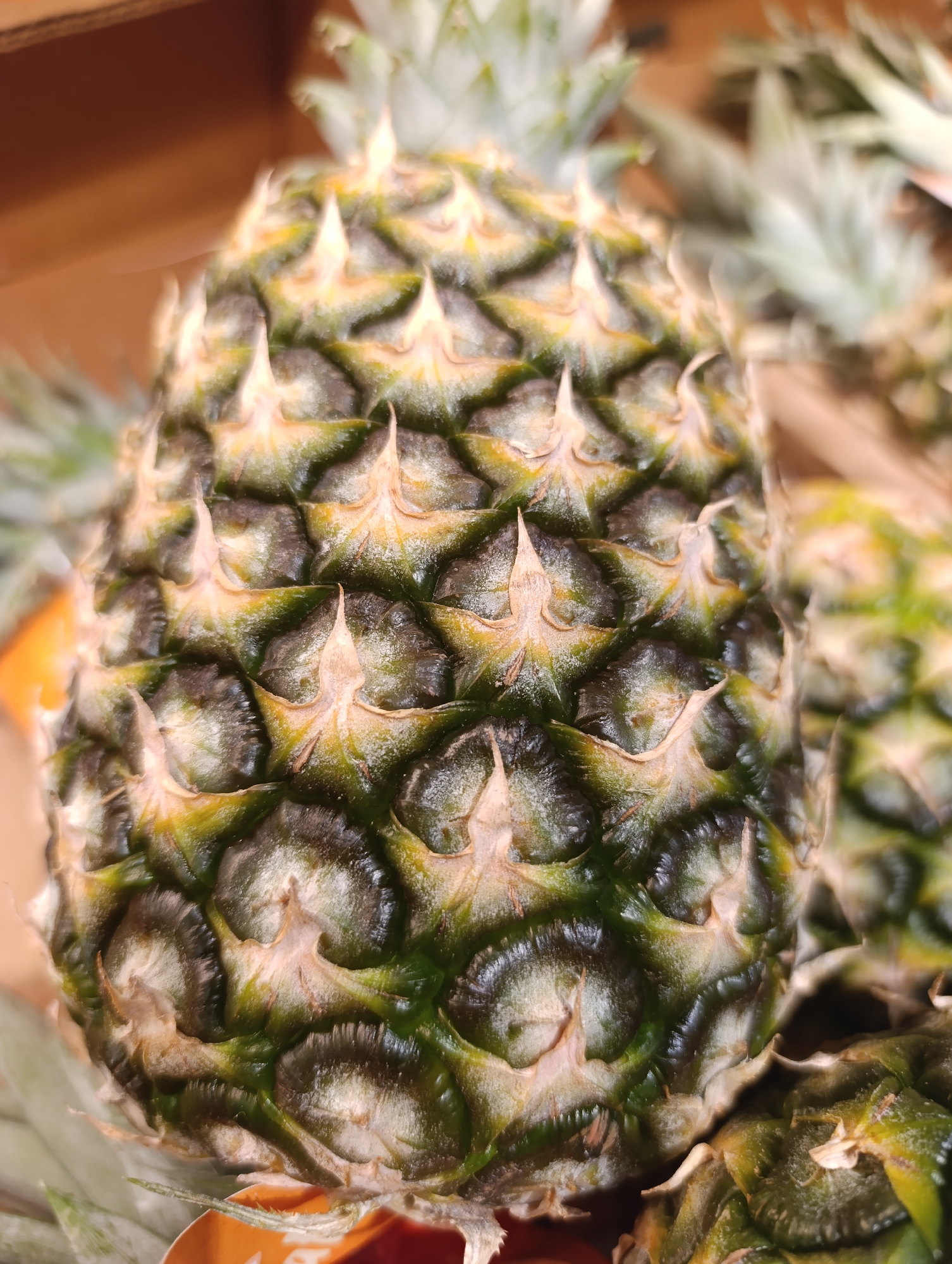 A close-up shot features a pineapple, showcasing its textured, patterned skin in shades of green, yellow, and brown. The pineapple is surrounded by other pineapples, suggesting a display or collection. No people are visible in the image. The location in Haskovo, Bulgaria is not identifiable from the image.
