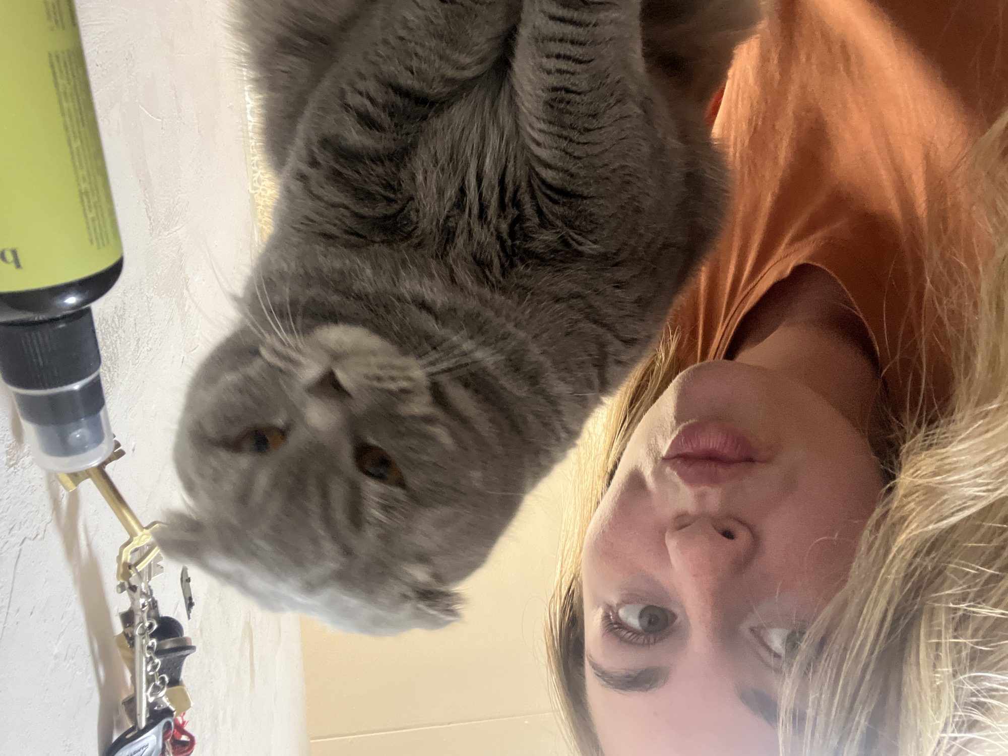 In a close-up, indoor shot with a blurred background, a woman with blonde hair pulled back and wearing an orange t-shirt makes a kissing face. Beside her, a grey Scottish Fold cat with amber eyes sits looking down. To the right, a lime green bottle with a black cap is visible, and above it, a set of keys hangs on a wall. The lighting suggests an interior setting, likely a home. No specific location in Chaikovsky, Russia, can be determined from the image.