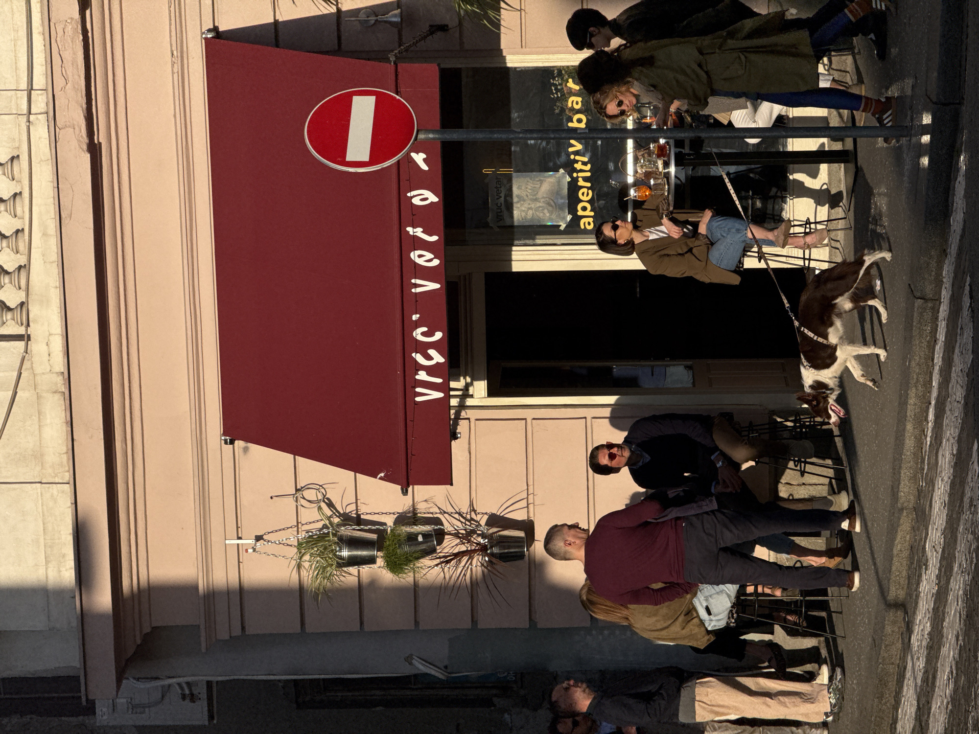 The image depicts a lively street-side scene outside an "aperitiv bar" in Belgrade, Serbia, illuminated by the warm, golden light of late afternoon or early evening. Long shadows stretch across the light-colored building facade, which features subtle vertical moldings, and the adjacent pavement, indicating clear and sunny weather.
Approximately 10-12 casually dressed individuals are visible, mostly seated at small, round tables or standing, engaged in conversation and enjoying drinks outdoors. Two women are prominently featured at a table under the bar's awning; one wears sunglasses and appears relaxed, while the other glances towards the viewer. Further down, more patrons, including a man with a bald head in a maroon shirt and another in a navy sweater, are seen socializing in small groups.
A brown and white dog, possibly a Springer Spaniel, on a leash, stands attentively near one of the tables. Orange-colored cocktails, resembling Aperol Spritz, and other beverages are visible on the tables.
The establishment features a prominent reddish-brown awning. Text clearly visible on the awning reads "VRUC VETAR". The words "vruc vetar" and "aperitiv bar" are also reflected on the bar's glass window. A red circular "No Entry" traffic sign is mounted on a pole adjacent to the awning. Decorative hanging planters with vibrant green foliage adorn the building's exterior. The scene captures a relaxed urban social atmosphere.
