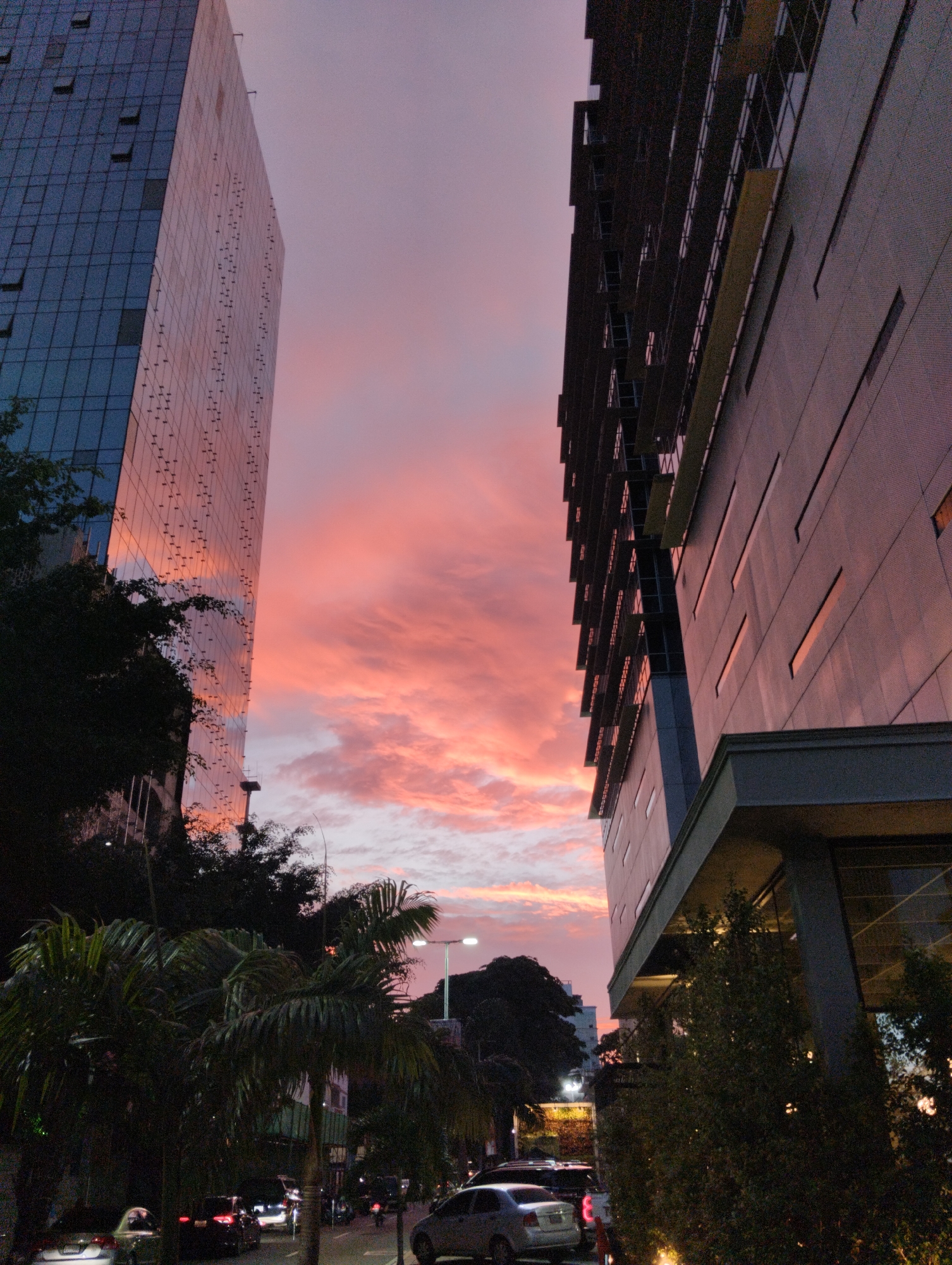 A street scene in Caracas, Venezuela, features a pink and orange sunset sky framed by two tall buildings. The building on the left has a glass facade with visible structural supports. The building on the right appears to be a modern structure with horizontal windows. Lush, dark green trees and palm trees line the street. Cars and other vehicles are visible on the road, with streetlights illuminating the area. Pedestrians are not clearly visible, but activity is suggested by the presence of vehicles.