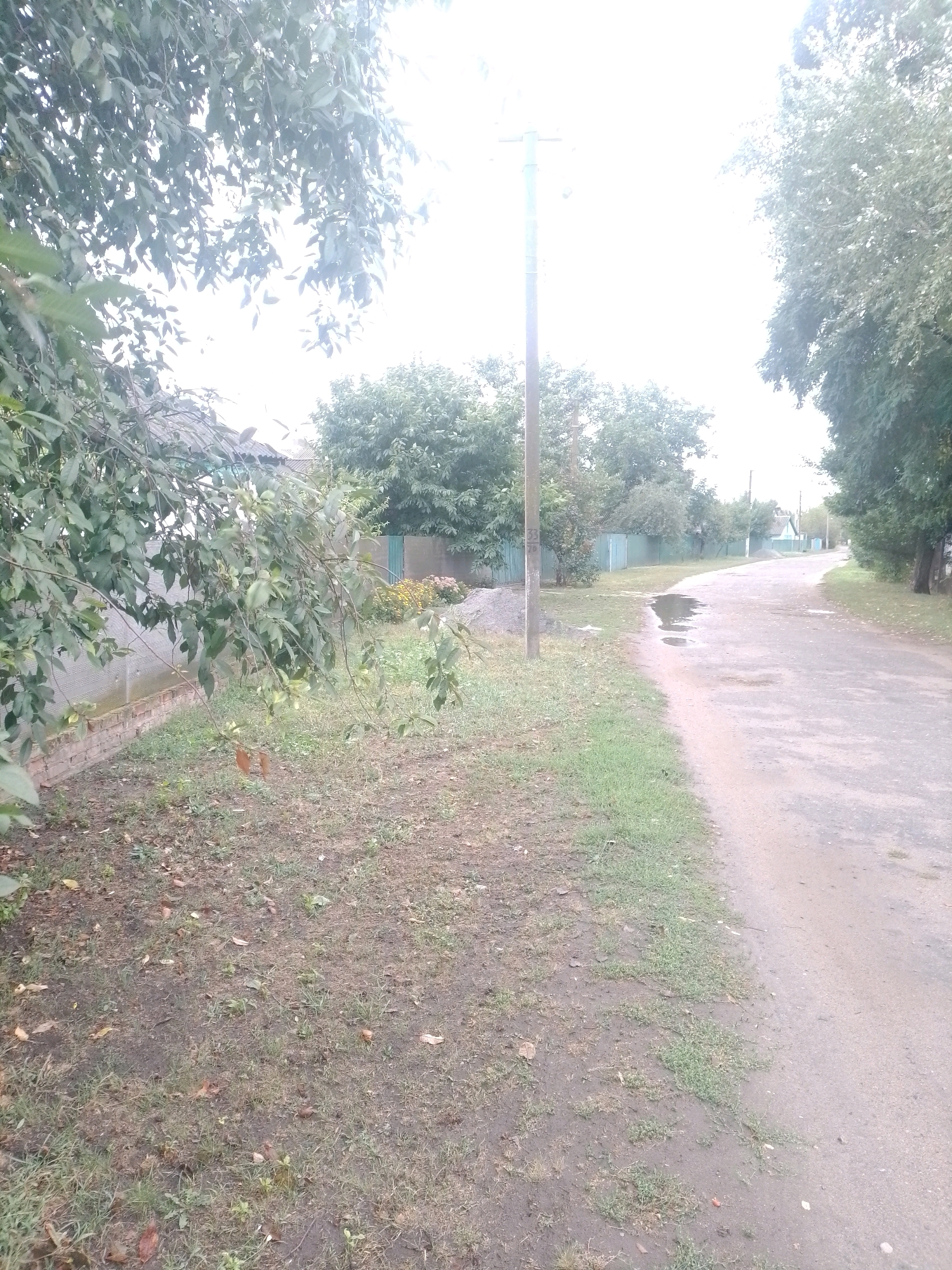 This is a photograph taken outdoors in Ustyvytsia, Ukraine, on a cloudy day. The scene depicts a rural road with grass and dirt on the left side and the paved road on the right. A utility pole stands prominently on the left side of the road. Puddles of water are visible on the road, indicating recent rain. Trees and foliage line the sides of the road, with a fence and a building visible in the background on the left. The overall impression is of a quiet, everyday scene in a village setting.