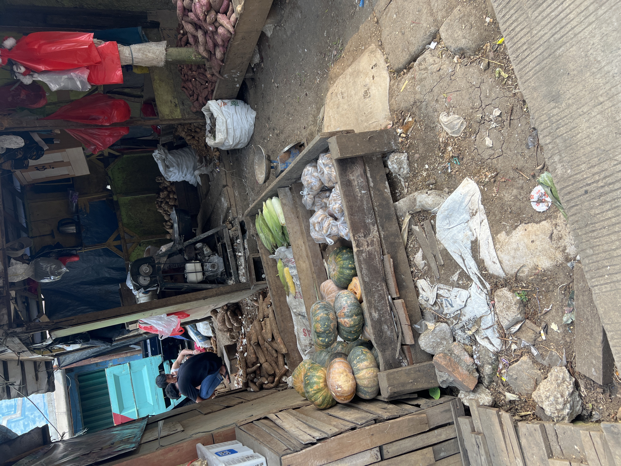 The image depicts an outdoor market scene, likely in Citeureup, Indonesia. Two individuals are crouched in the foreground, one wearing a black t-shirt and blue jeans, the other a white tank top and blue jeans. They appear to be interacting with produce laid out on wooden crates. The crates contain various root vegetables, such as yams and cassava, as well as pumpkins and corn. Bags of produce are also visible, some in white sacks and others packaged in plastic. Behind the individuals, a teal-colored truck is partially visible, suggesting a commercial or transportation hub. The environment appears somewhat cluttered, with debris and discarded materials on the ground, indicative of an active marketplace. Hanging red and white plastic bags are visible in the background, along with what appears to be market stalls and awnings. The overall impression is one of a busy, functional, and somewhat rustic local market.