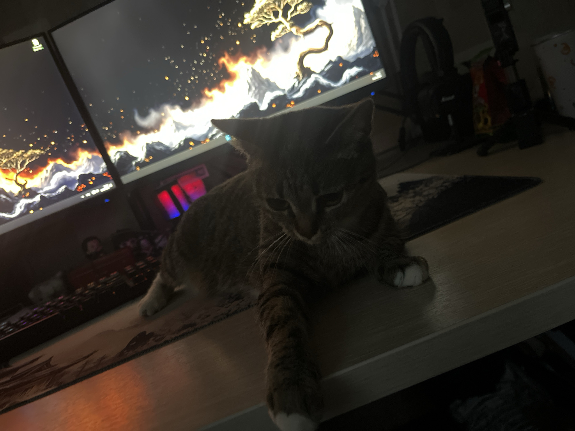 A medium-sized, brown tabby cat is resting on a desk. The cat is positioned between two computer monitors, displaying a desktop background with a tree and fiery sky. In the background, headphones are visible along with various other items. The scene appears to be indoors, but the specific location in Khimki, Russia, cannot be determined from the image.