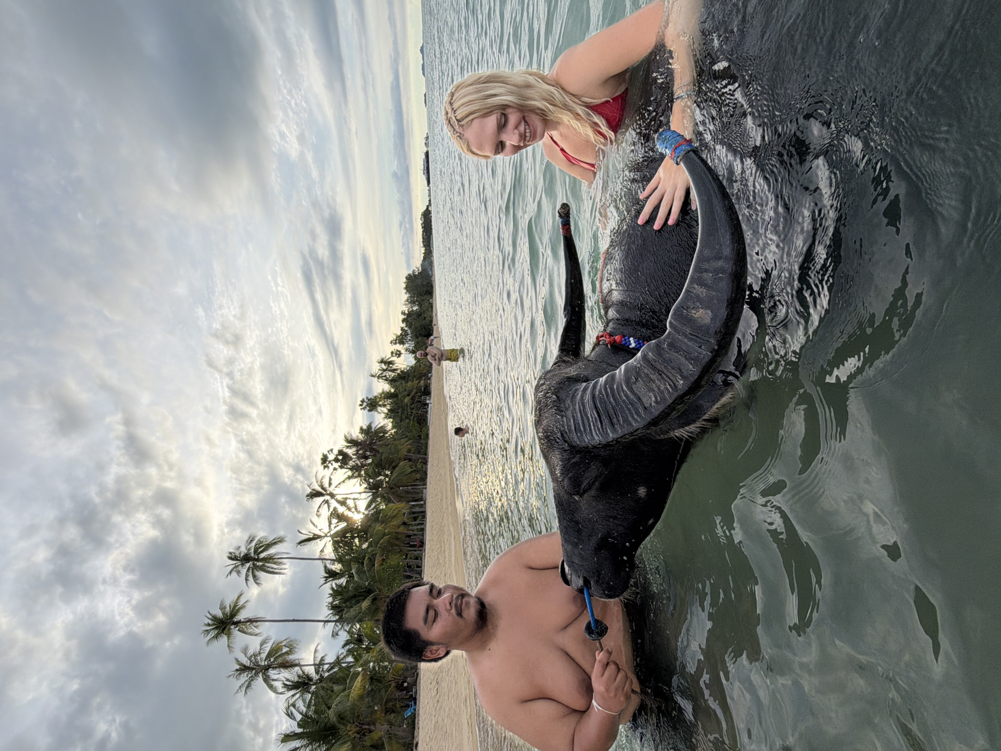 In Baan Mae Nam, Thailand, a woman in a red bikini and a shirtless man are interacting with a water buffalo in shallow ocean water. The woman is smiling and leaning towards the buffalo, her hand resting on its wet hide. The man is holding a blue object in his mouth, which appears to be attached to the buffalo's nose ring, and he has his eyes closed. The buffalo has large, curved horns and is mostly submerged in the water. The scene takes place on a beach with a sandy shore lined with palm trees. The sky is overcast with a mix of clouds, suggesting it might be early morning or late afternoon. The water is calm, with ripples on the surface. In the background, another person can be seen wading in the water further down the beach. The overall atmosphere is one of playful interaction between humans and the animal in a tropical environment. There is no visible text in the image.