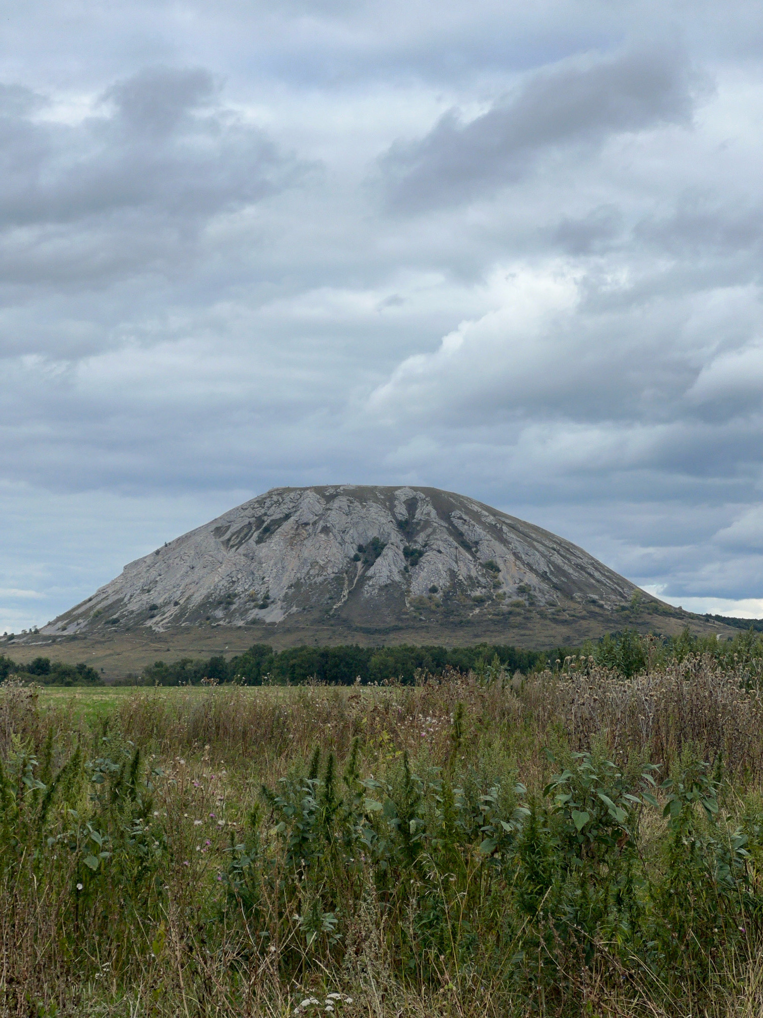The image shows a large, conical hill with a barren, rocky peak. The hill is covered in patches of light-colored rock and appears to be largely devoid of vegetation on its upper slopes. A band of green trees and shrubs stretches across the base of the hill. In the foreground, a field of tall, dry grass and wildflowers is visible, with some greener vegetation interspersed. The sky is overcast with a heavy layer of gray clouds. The scene is set in a rural or natural landscape.