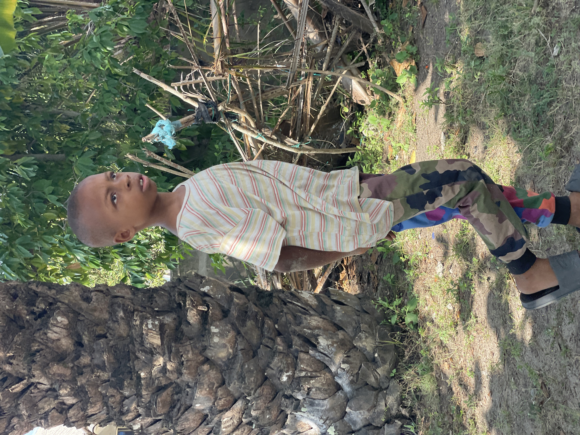 This outdoor image, taken in Badagry, Nigeria, features a young boy standing upright and looking upwards and slightly to his right with a curious, attentive expression and his mouth slightly open. He has short hair and is dressed in a light-colored, short-sleeve shirt with yellow, red, and white stripes. His trousers are distinctively patterned in camouflage style, incorporating shades of green, brown, blue, red, and purple. He wears dark grey slip-on sandals on his feet.
To the boy's left, a substantial, dark, and textured tree trunk, possibly from a palm tree, is prominently positioned. The background behind the boy is filled with natural elements, including dense green foliage from various trees and bushes. Scattered among the greenery are dry branches and twigs, some appearing to be loosely bound with pieces of blue plastic, suggesting a makeshift structure or discarded items. The ground is a mix of dirt and patches of green grass and small plants.
The scene is brightly lit by natural daylight, indicating it is daytime, likely a sunny morning or afternoon. The overall environment suggests a natural, possibly semi-rural or wild, setting. No visible text is present in the image.