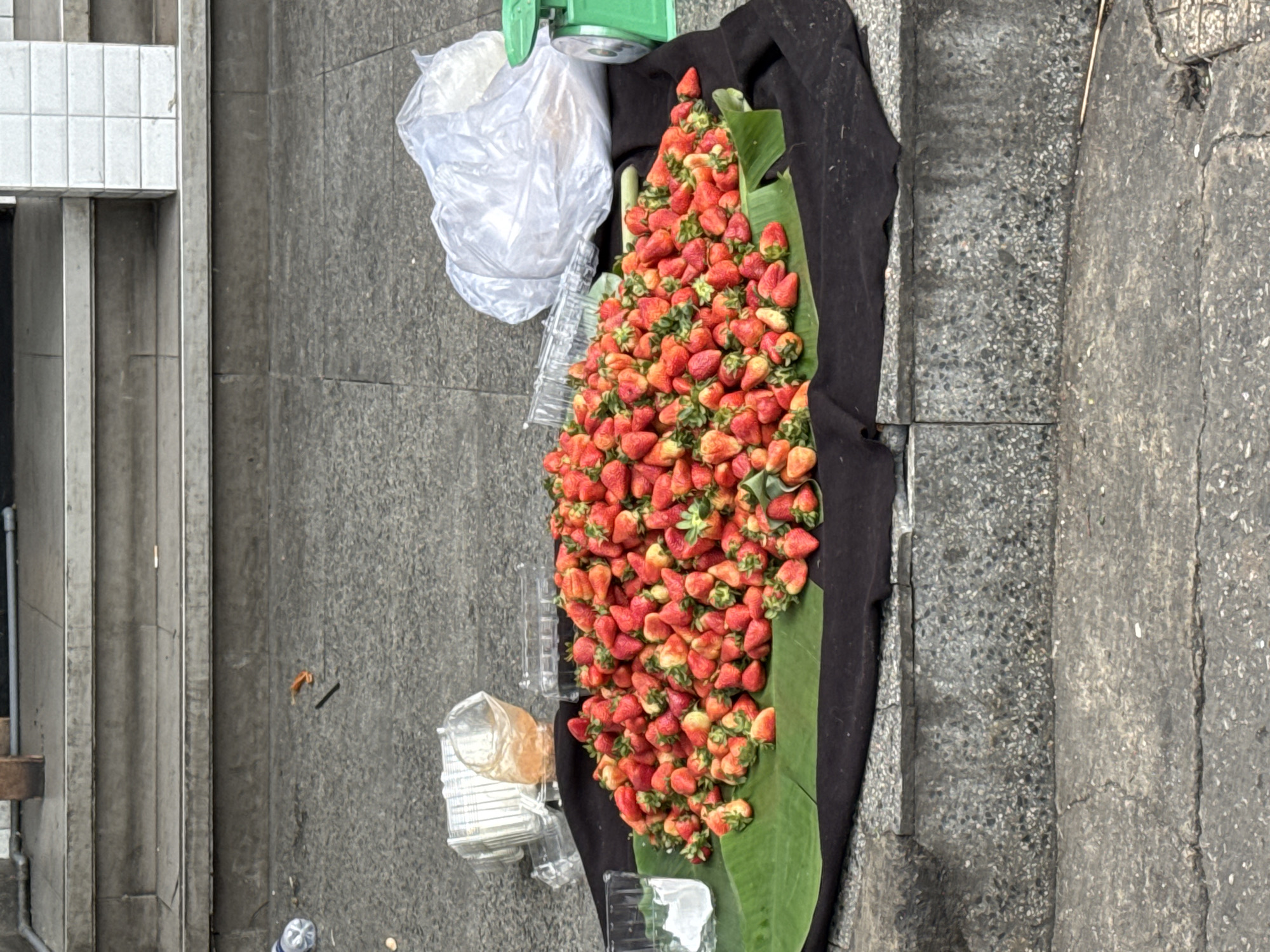 A large, vibrant pile of fresh strawberries is displayed on a black fabric mat, which rests on a textured grey concrete or asphalt surface. The strawberries, predominantly bright red with some showing hints of lighter red or orange, are mounded on a bed of green banana leaves. Many still have their green calyxes attached, indicating freshness.
To the upper left of the strawberry display, a green weighing scale is visible, along with a crumpled clear plastic bag. Below the scale, stacks of clear plastic containers or cups are arranged, likely for packaging the fruit. Further to the left, a tall, grey concrete structure, possibly part of a building or wall, extends vertically, with a small section of white tiled wall visible at the top. The ground to the right of the display shows more of the grey, cracked pavement. A partially visible white plastic bottle can be seen in the bottom right corner of the frame.
The scene depicts a roadside fruit vendor or market stall, likely selling fresh produce in Da Lat, Vietnam, a region renowned for its strawberries. The setting is outdoors, during daylight, under what appears to be clear weather. No people are visible, and there is no discernible text in the image. The arrangement suggests an active commerce environment.