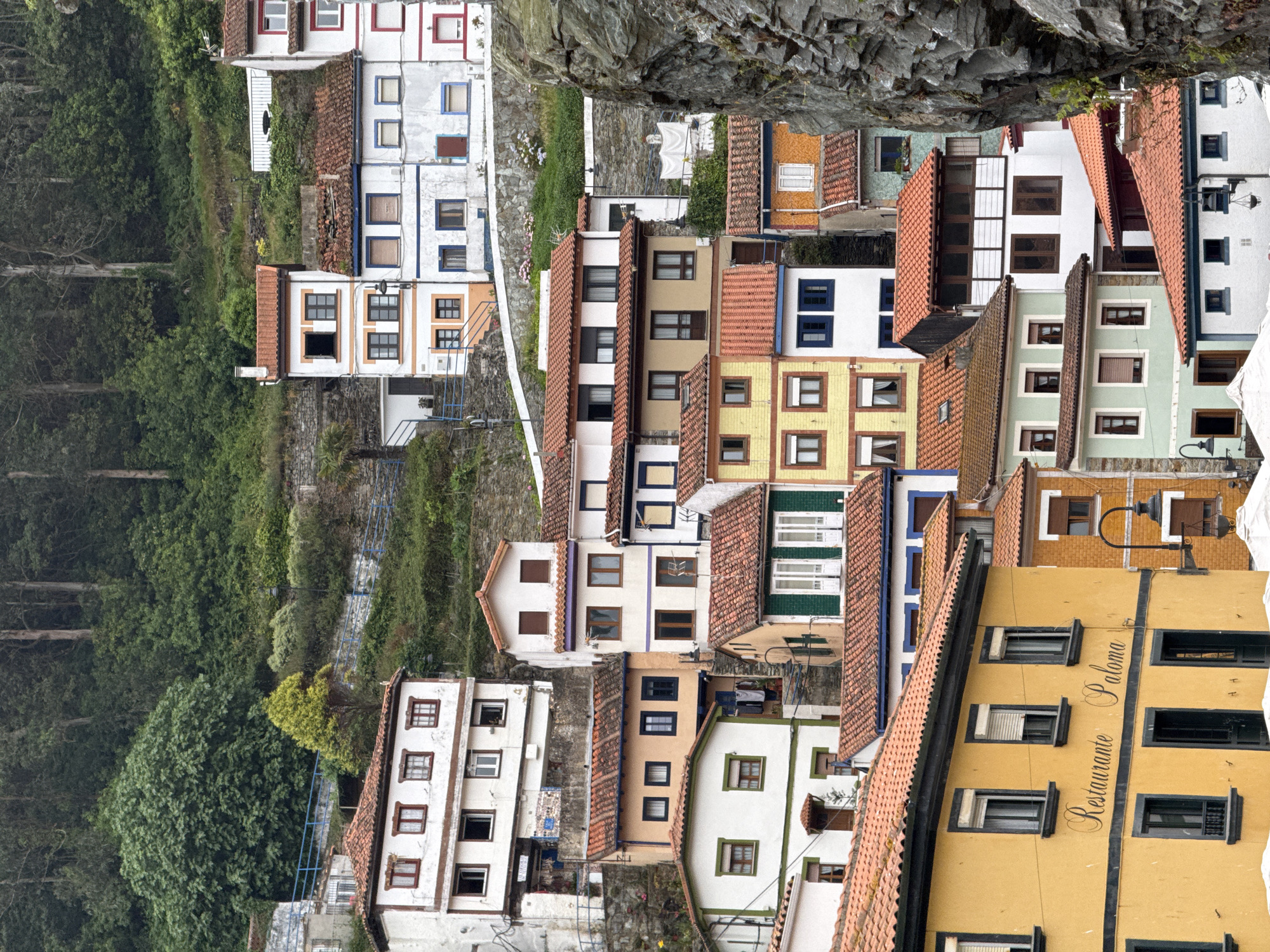 This is a vertical, full-frame shot of a picturesque coastal village in Cudillero, Spain. The scene depicts a densely packed cluster of colorful houses cascading down a steep hillside towards the sea. The architecture is characterized by tiled roofs, white or brightly colored facades, and numerous windows. The houses are built in a terraced fashion, with narrow streets and staircases winding between them.
To the left of the frame, lush green trees and dense foliage cover a significant portion of the hillside, suggesting a natural and somewhat wild environment surrounding the village. In contrast, the right side of the image showcases the man-made structures of the village, with intricate details of the houses, including balconies and decorative elements. The rocky cliff face above the village adds to the dramatic and rugged setting.
Several houses feature balconies with railings, and some windows are adorned with shutters. The overall impression is one of a charming, historical European fishing village. There is no visible activity of people in the image, and the scene appears quiet and serene. The lighting suggests it could be daytime, possibly overcast or early morning, as there are no strong shadows.
One of the prominent details is text visible on a bright yellow building on the right side of the frame. Written in a stylized font, it reads "Restaurante Paloma". The presence of a restaurant indicates that this is a place with tourist activity. The overall atmosphere is one of quaint beauty and timeless appeal, highlighting the unique integration of human settlement with the natural landscape.