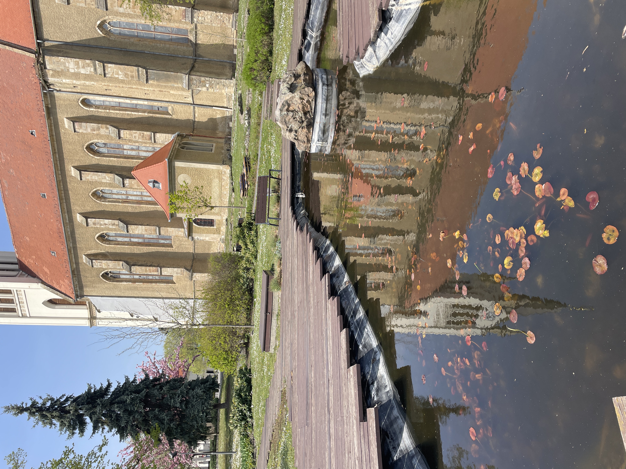 The image depicts a scene in Keszthely, Hungary, likely near the Festetics Palace. A tan building with a red roof is visible on the left, its reflection appearing in a pond. A wooden boardwalk runs along the edge of the pond. The pond contains lily pads with various colors and shapes. There's a large rock and some white plastic liners along the pond's edge. Landscaping with trees, bushes, and flowers is present. A bench sits alongside the boardwalk. The sky is blue and clear.
