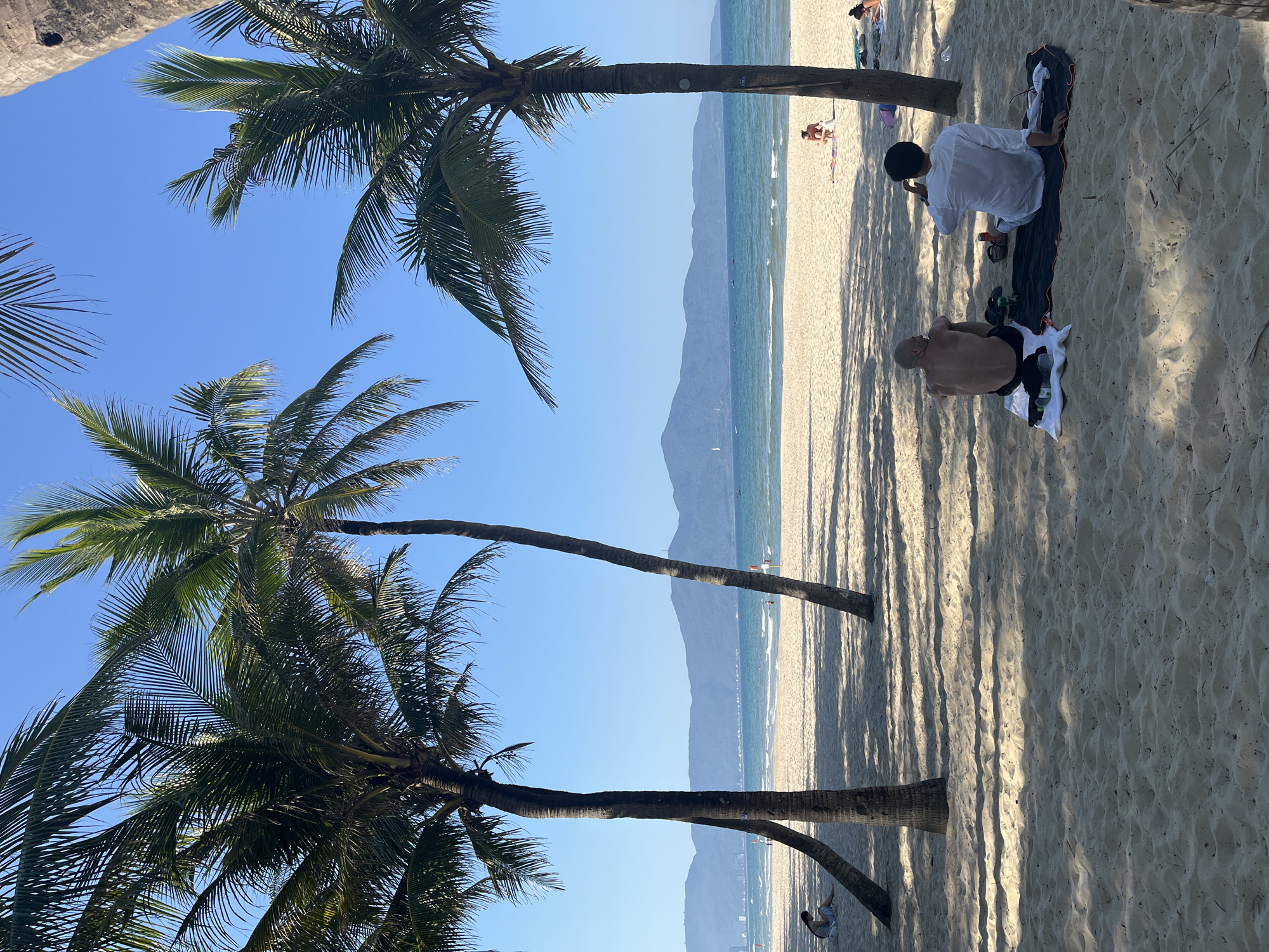 The image captures a daytime scene on a beach in Đà Nẵng, Vietnam. Several palm trees are visible in the foreground and middle ground, casting shadows on the sand. In the background, a coastline extends along the horizon. Two men are situated on the sand in the middle ground; one is shirtless and the other wears a white shirt. They are sitting on a blanket or mat with bottles nearby. Other people are scattered further down the beach. The sky is clear and blue.