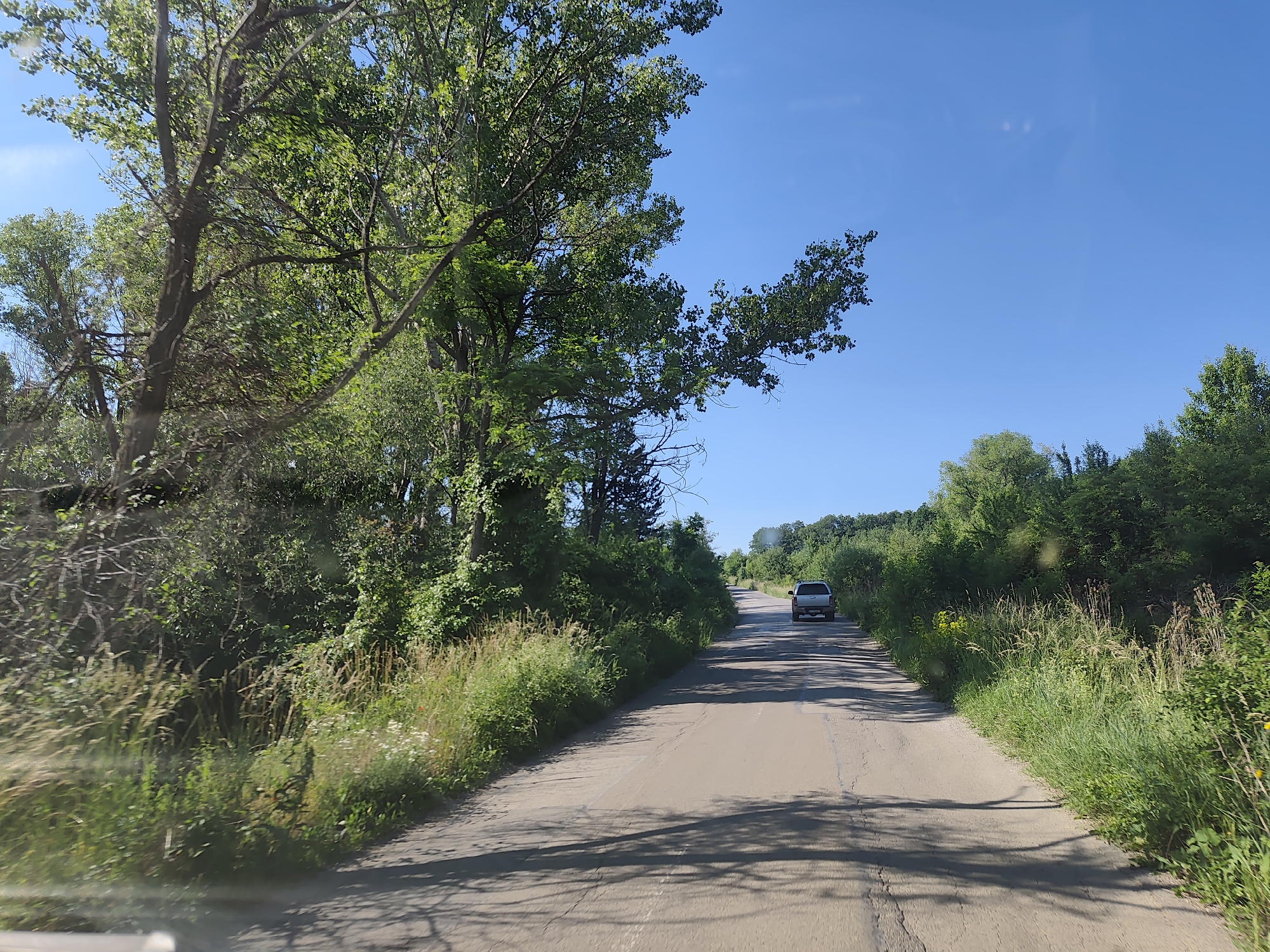 The image depicts a rural road in Rudartsi, Bulgaria, on a clear sunny day. The road, paved with asphalt, is in a state of disrepair with visible cracks and patches. It winds through a landscape densely populated with lush green trees and tall grass, characteristic of a rural Bulgarian setting during summertime. The left side of the road is bordered by a dense line of trees and vegetation, with sunlight dappling through the leaves, creating shadows on the road surface. On the right side, the vegetation is equally dense, with tall grasses and wildflowers adding to the natural scenery. In the distance, a silver SUV is driving away from the camera, heading uphill along the road. The sky is a vibrant, cloudless blue, indicating fair weather. The perspective suggests the photo was taken from a moving vehicle.