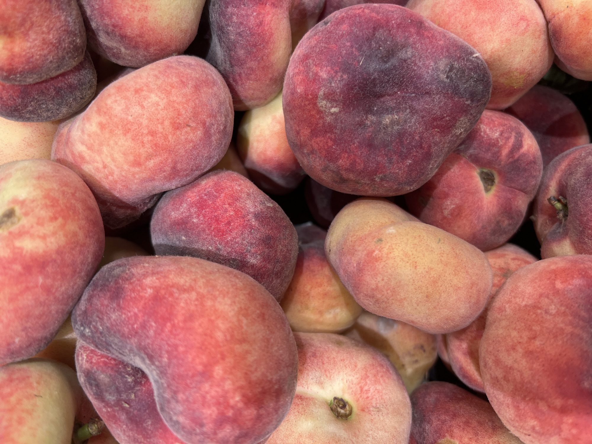 This is a close-up, overhead shot of a pile of ripe peaches. The peaches are varied in size and color, with most displaying a gradient of pink, red, and yellow hues, and some having a deep purple blush. Their fuzzy texture is visible, characteristic of peaches. The fruits are densely packed, creating a textured surface with soft shadows between them, suggesting a natural lighting source rather than artificial. There are no people, text, or discernible setting cues beyond the fruit itself. The image appears to be taken in a natural or market setting where these peaches are being displayed or stored.