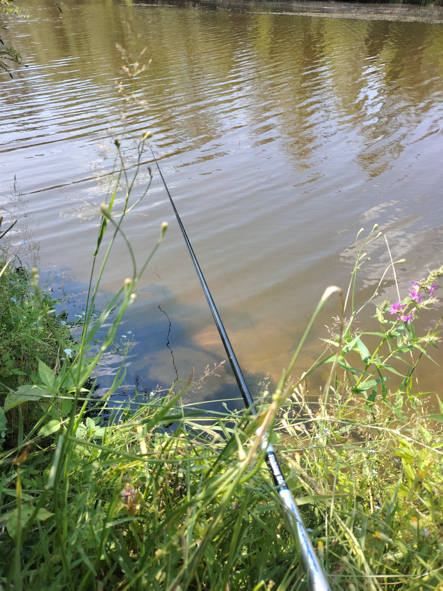 A fishing rod is set up on the bank of a body of water, with the rod extending into the water. The water is calm with reflections of trees and sky on its surface. Lush green grass and some small purple wildflowers grow along the bank in the foreground. The scene appears to be a natural setting near Oseshchyna, Ukraine.