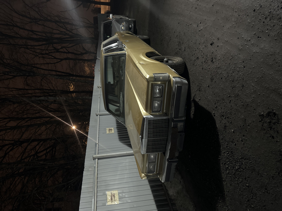 The image displays a nighttime outdoor scene in Zhabkino, Russia. A gold-colored, older model full-size sedan, featuring a prominent chrome grille and dual square headlights, is parked in the foreground on an unpaved dirt and gravel surface. Its body appears dirty, and the front bumper shows signs of wear. Behind this vehicle, a silver-grey sedan is partially visible. Both cars are parked parallel to a light-colored corrugated metal fence, which has two rectangular signs with Cyrillic text affixed to it. Above and beyond the fence, numerous leafless deciduous trees are silhouetted against a dark night sky. A bright streetlight, emitting a distinct starburst flare, illuminates the upper left portion of the scene. No individuals are present.