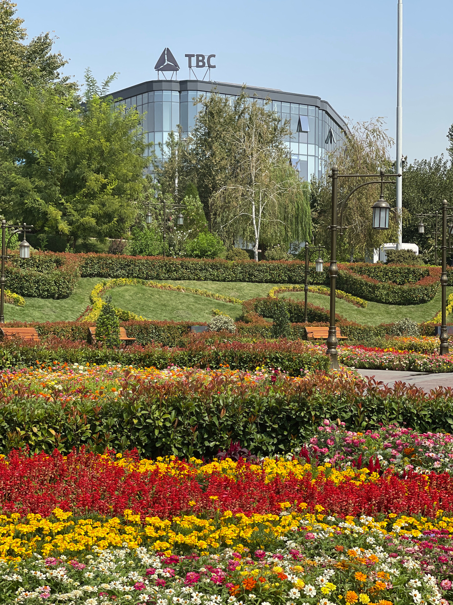 The image shows the TBC Bank headquarters building in Tashkent, Uzbekistan, situated behind a meticulously landscaped park filled with vibrant flowerbeds and lush greenery. The modern, multi-story building features a curved glass facade and is topped with the TBC logo. The park below showcases rolling green lawns, manicured hedges, winding pathways, and benches, all illuminated by ornate lampposts. The foreground is dominated by a spectacular display of colorful flowers, including red, yellow, white, and pink varieties, arranged in striking horizontal bands. The scene is set against a clear blue sky on a sunny day, creating a serene and picturesque urban environment.