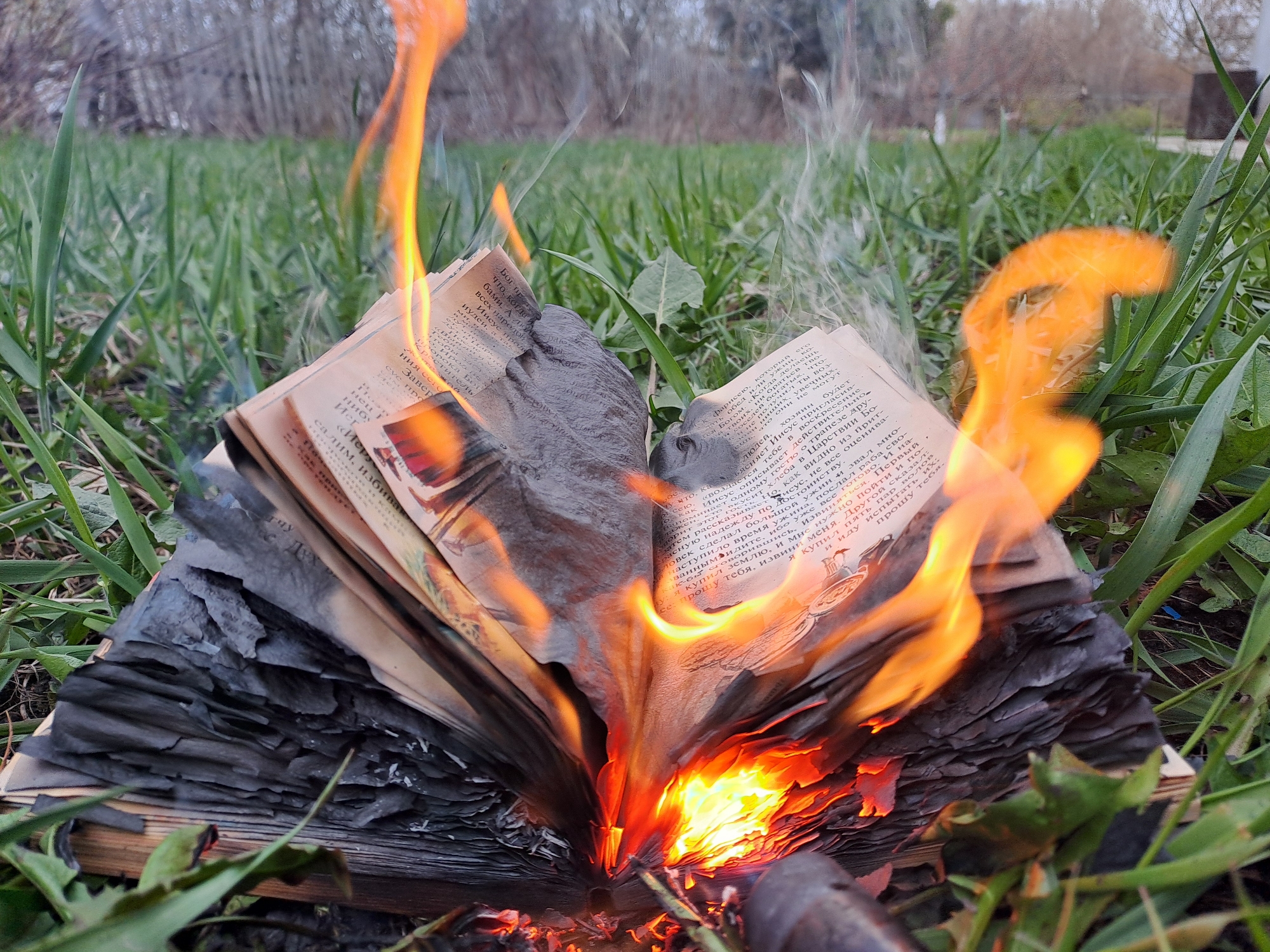 An open book, its pages consumed by bright orange and yellow flames, lies on a bed of green grass in an outdoor setting. The fire emanates from the center of the book, burning the spine and the inner edges of the pages. White smoke billows upwards, partially obscuring the background. Many of the book's pages are heavily charred, blackened, and curled, indicating significant burning. Some outer pages on both sides are still relatively intact, displaying text.
The visible text on the pages is in Russian, with phrases like "Иисус про" (Jesus about), "всех народов" (all peoples), "Бог пропус" (God allowed), "Иерусалим, избиван" (Jerusalem, beaten), "хозяин будет" (the host will be), and "Царствии Бо-" (Kingdom of God).
The scene is set in a grassy area, possibly a field or park, with tall green blades of grass surrounding the book. In the distant background, blurred bare trees suggest an early spring or late autumn season. The lighting indicates it is daytime. The activity depicted is the deliberate burning of a book. The location is Полянки, Russia.