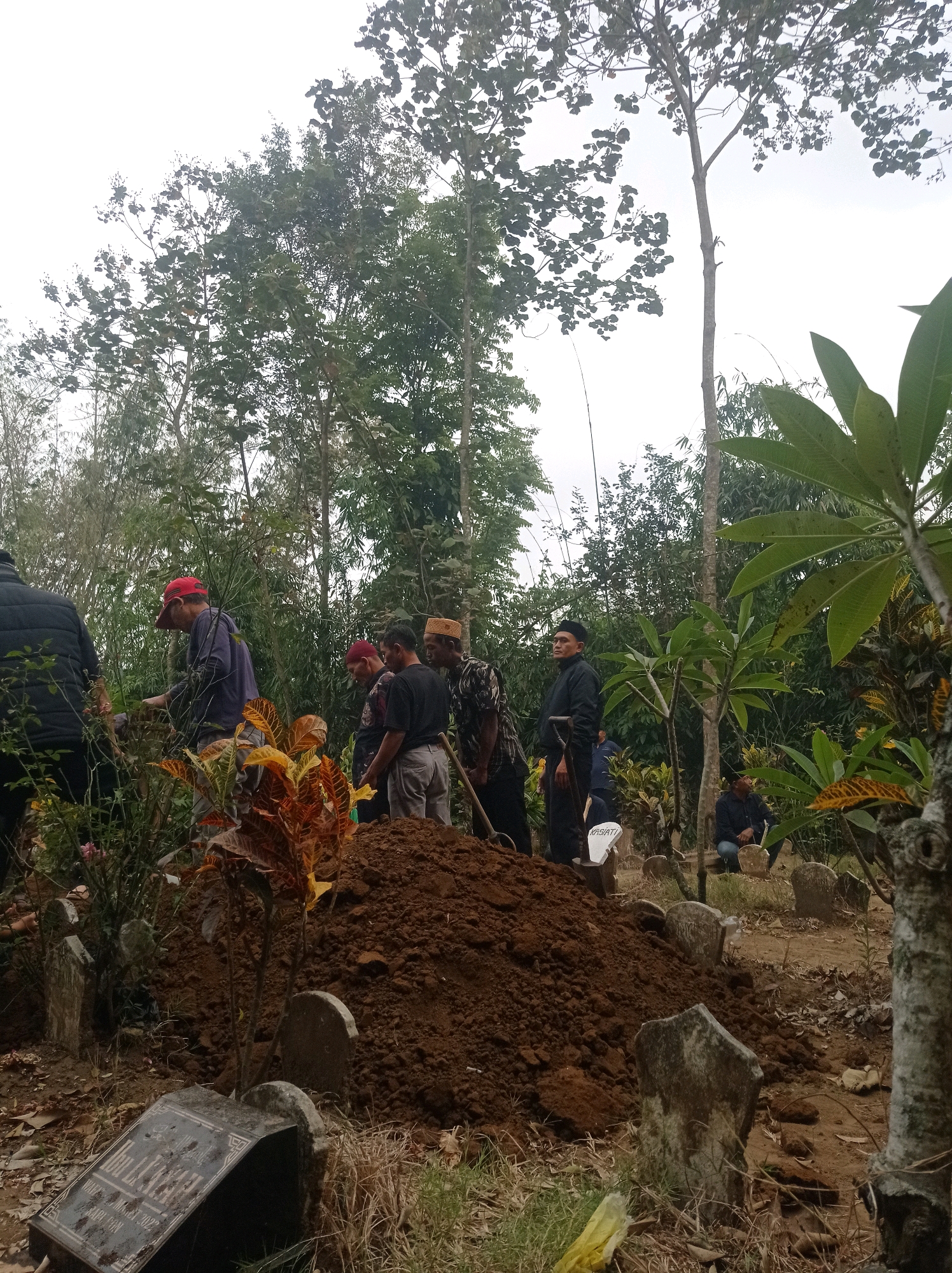 The image depicts a burial scene in Pandanmulyo, Indonesia. Several individuals are gathered around a freshly dug grave, which is covered with a pile of brown soil. Some people are actively engaged in the burial process, with one individual wearing a red cap appearing to adjust something near the grave. Others stand in a group, observing the proceedings. The environment is a cemetery, characterized by a scattering of tombstones of various shapes and sizes, and surrounded by dense vegetation, including trees and smaller plants. The sky is overcast, suggesting a cloudy day. The overall atmosphere appears solemn, consistent with a funeral ceremony.