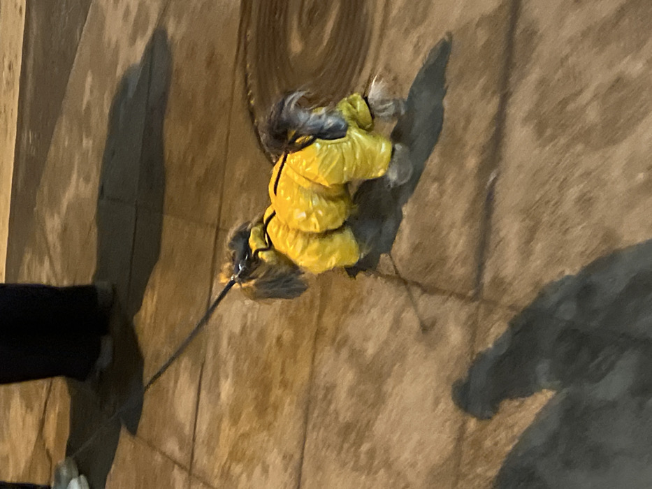 An overhead shot captures a dog wearing a bright yellow, puffy winter coat as it walks on a paved surface, likely a sidewalk or street. The dog has grayish-brown fur visible around its head and legs, protruding from the coat. A dark leash extends from the dog's neck or harness towards the lower-left, where a person's leg, clad in dark pants and light-colored shoes, is partially visible, indicating they are walking the dog.
The paved ground is a light brown or tan color, possibly concrete or large paving stones, with visible seams and a slightly wet or reflective sheen in some areas. Long, dark shadows of the dog and the person are cast across the ground, stretching towards the right and indicating an artificial light source, suggesting it is nighttime or late evening.
In the upper central part of the image, a circular metallic pattern, possibly a manhole cover or drainage grate, is visible on the ground. The image is taken from a high angle, looking down, and appears to be slightly tilted, with the ground lines running diagonally across the frame. There is no visible text in the image.