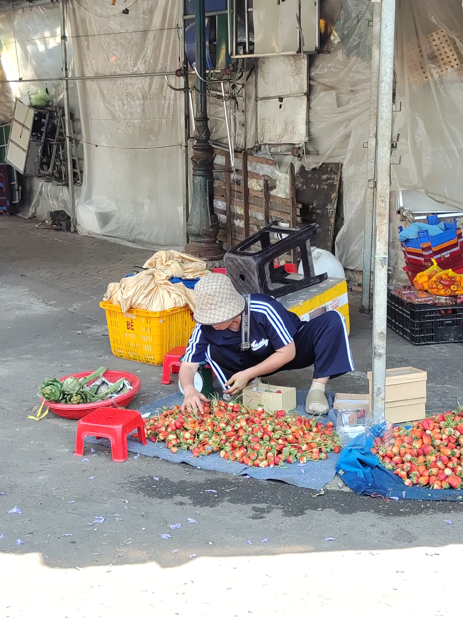 A woman wearing a bucket hat and blue athletic suit is crouched on the ground in what appears to be an outdoor market in Da Lat, Vietnam. She is sorting through a large pile of strawberries spread out on a blue cloth. To her left is a red plastic basket filled with artichokes, placed on a red plastic stool. Behind her, a yellow basket covered with cloth rests on a larger box. Stacks of storage boxes and other items are in the background, covered with plastic sheeting. The ground is concrete with scattered purple flower petals.