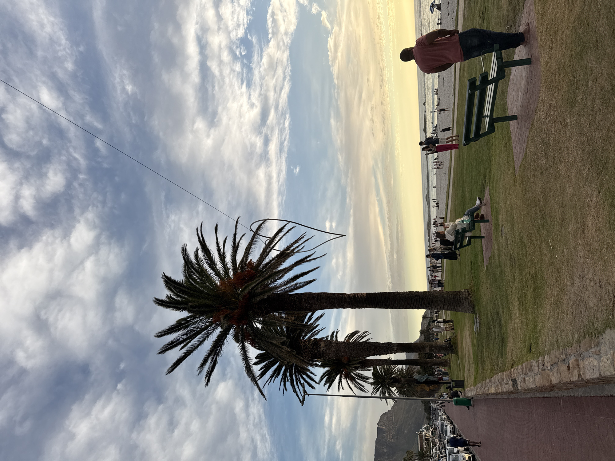 The image captures a beachfront scene in Cape Town, South Africa, during what appears to be the late afternoon or early evening. The foreground features a row of palm trees lining a red brick walkway. Beyond the walkway is a grassy area with several park benches. On one bench, a man is seen leaning against the backrest, facing the ocean. Further down the grassy area, people are sitting and relaxing on other benches.
Beyond the grassy area is a sandy beach with several people scattered along the shoreline. The ocean stretches out towards the horizon, where the sky is a mix of blue and golden hues, suggesting the presence of the sun. The sky is filled with many clouds.
In the background, a mountainous landscape is faintly visible in the distance. The scene is a tranquil and idyllic representation of coastal life in Cape Town.