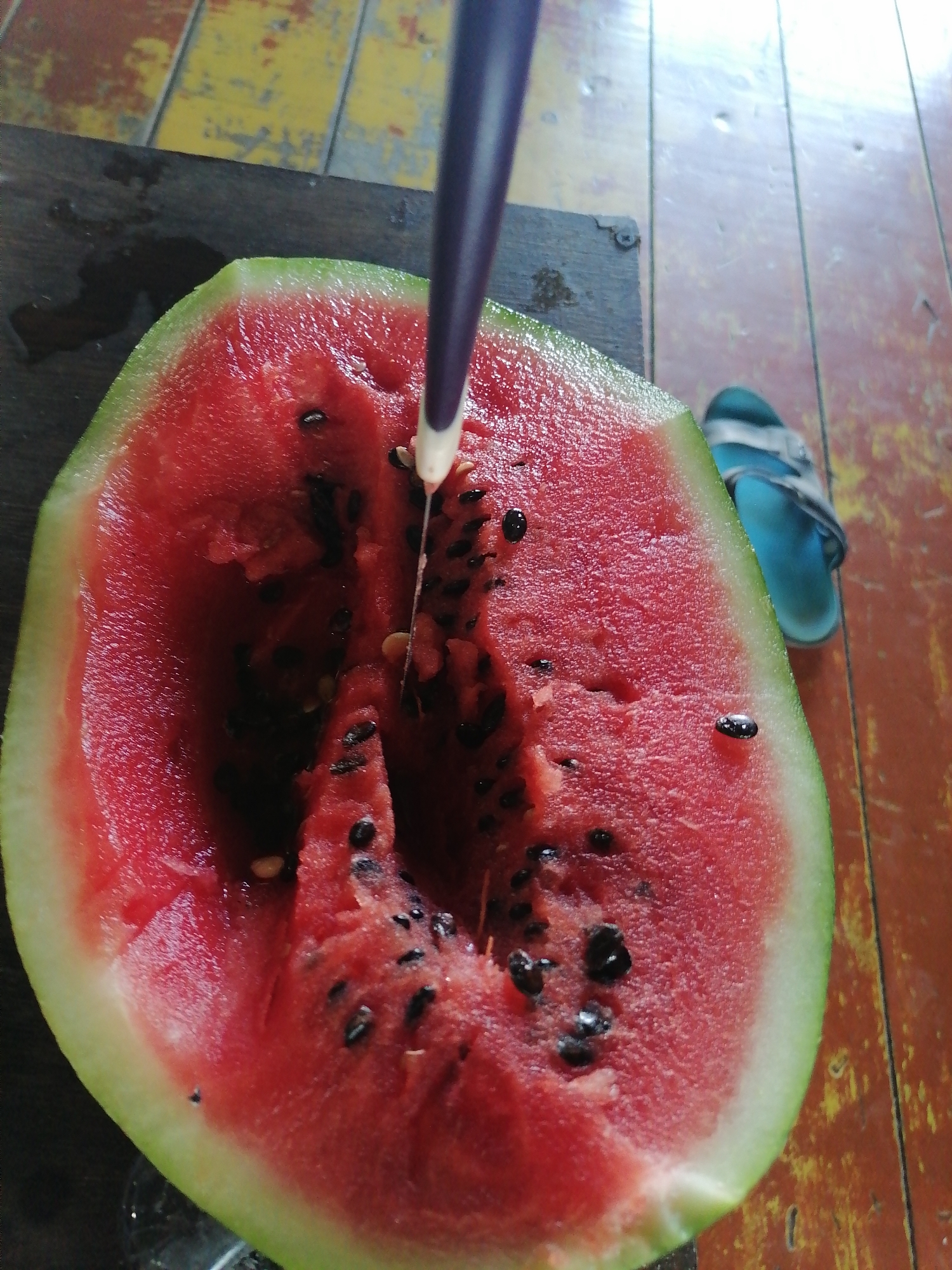 A close-up, high-angle shot shows a halved watermelon with black seeds and a knife piercing its flesh, set against a wooden surface and a colorful floor. A blue flip-flop is visible in the background. The scene is likely in Novopokrovka, Russia.