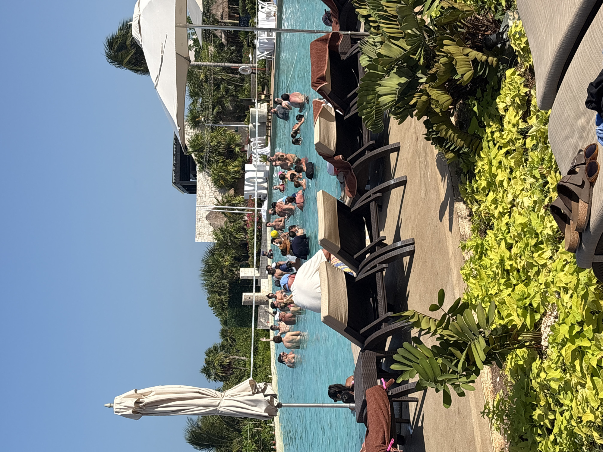 A wide shot captures a lively pool scene at a resort in Punta Sam, Mexico. The bright sun illuminates the turquoise water of a large swimming pool where dozens of people are gathered, many standing and socializing in groups, while others appear to be wading or swimming. Children are visible among the adults.
In the foreground, lounge chairs are arranged on a paved deck, some occupied by personal belongings like towels and sandals. Two large white umbrellas, one folded and one open, are positioned near the pool's edge, providing shade. Lush green tropical vegetation, including palm trees and ground cover, surrounds the pool area. In the background, a building with a thatched roof and a modern structure with dark framing are visible, hinting at the resort's amenities. The sky is a clear, vibrant blue.