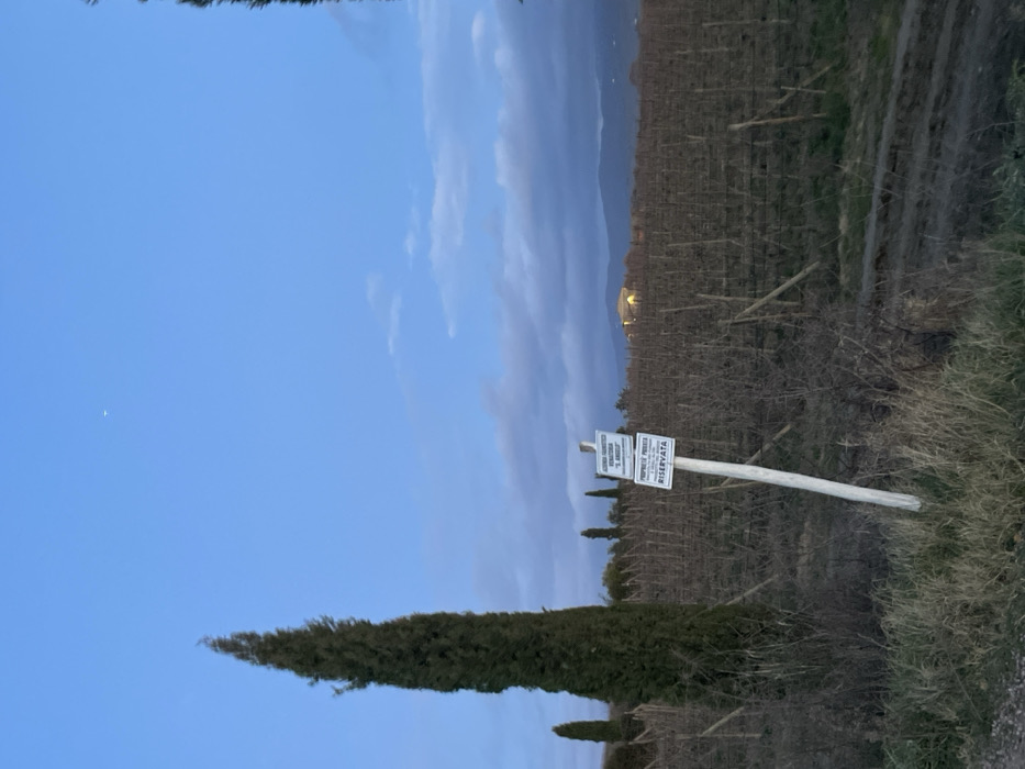 This image, taken in Montalcino, Italy, depicts a rural landscape at what appears to be late afternoon or early evening, characterized by a clear sky with scattered clouds and soft, natural light. The foreground and midground are dominated by rows of a dormant vineyard, suggesting a winter or early spring season. To the left, a tall, slender cypress tree stands prominently, with smaller cypress trees visible further back.
In the midground, towards the right, a wooden post supports two white signs. The visible text on the signs is in Italian and reads: "PROPRIETA PRIVATA VIETATO L'INGRESSO A PERSONE NON AUTORIZZATE RISERVATA," which translates to "PRIVATE PROPERTY ENTRY FORBIDDEN TO UNAUTHORIZED PERSONS RESERVED." A narrow, unpaved dirt path runs alongside the vineyard rows on the right side of the image.
In the distant background, mountains are visible under the twilight sky. A distinct, brightly lit structure, possibly a building or estate, stands out against the darker mountainous terrain. There are no people visible in the scene. The overall atmosphere is tranquil and rural, emphasizing the agricultural character of the region.