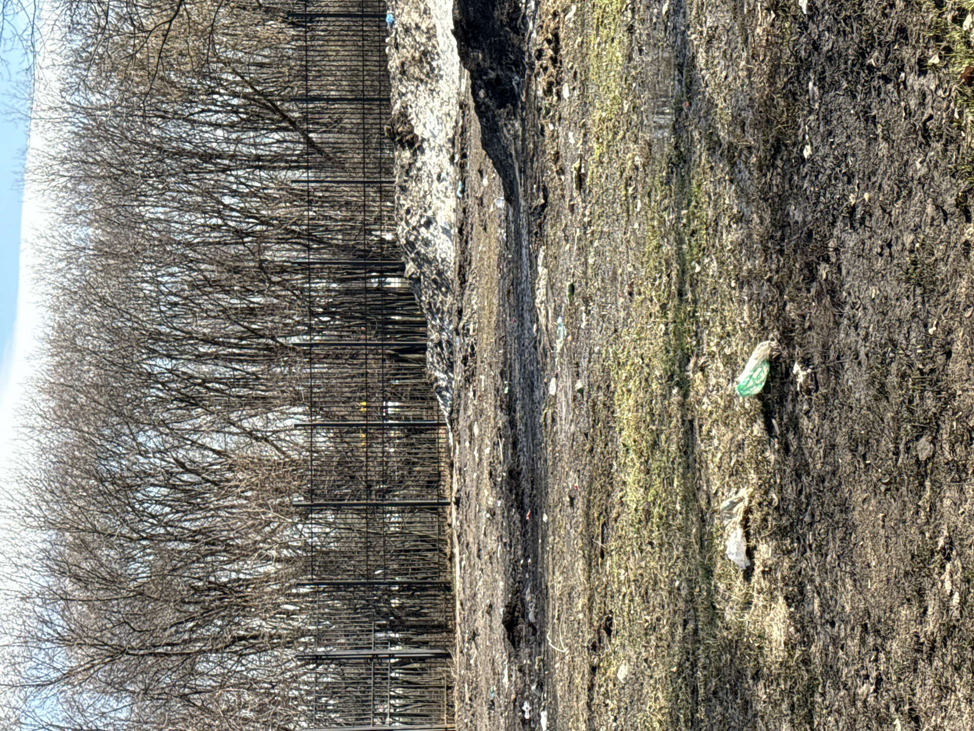 The scene is a plot of land, likely in a park or near a developed area, in Moscow, Russia, based on the vegetation and fence style. A metal fence separates a patch of trees with bare branches from a dirt and grass area. The ground is littered with trash, including plastic bags. There are no people visible.